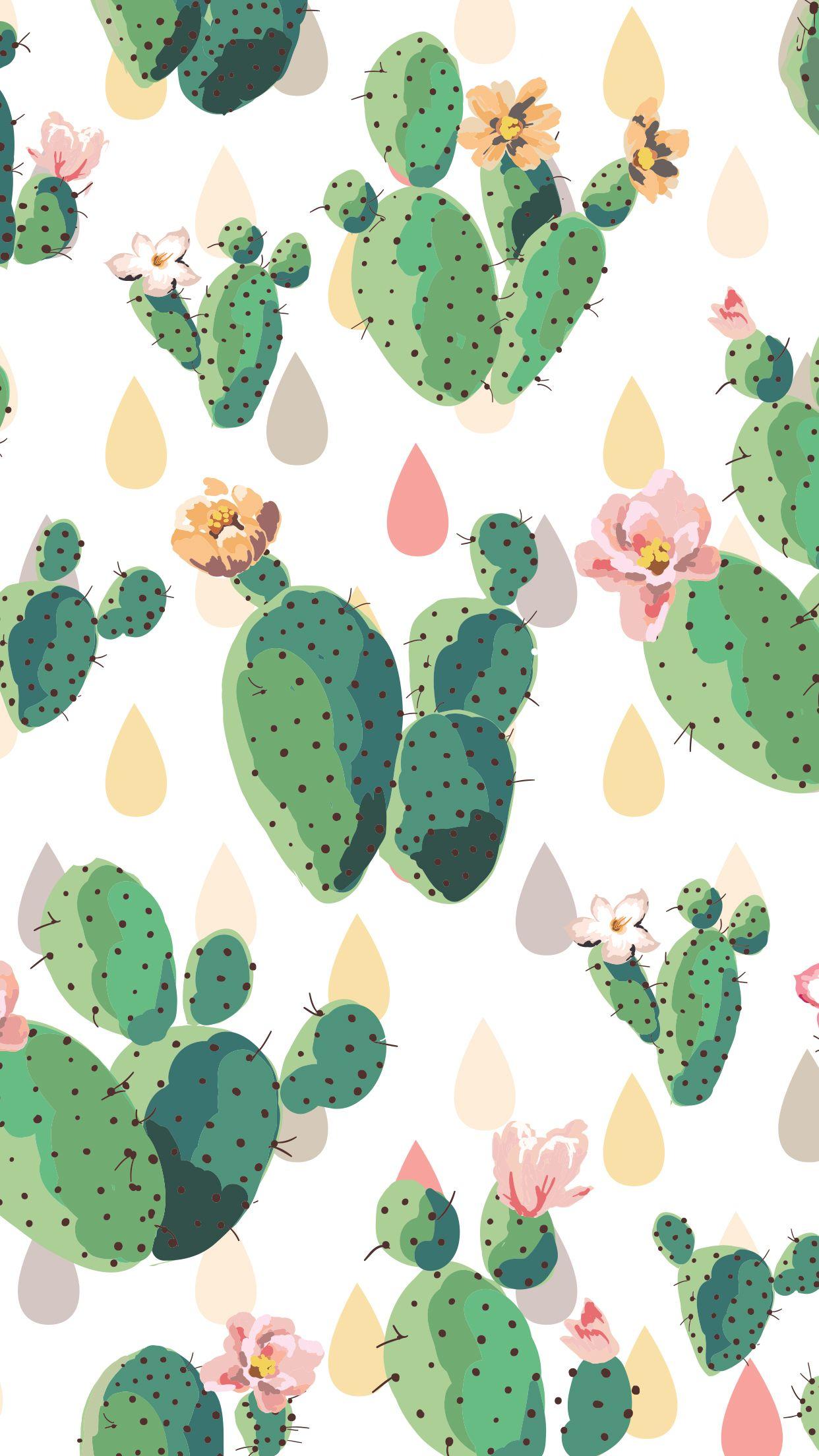Cactus Phone Wallpapers - Top Free Cactus Phone Backgrounds -  WallpaperAccess