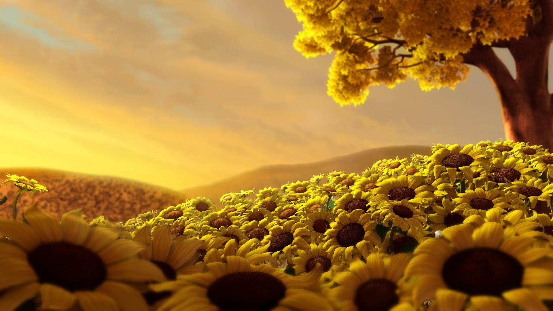 1920x1080 Sunflowers Field Wallpaper [1920x1080]
