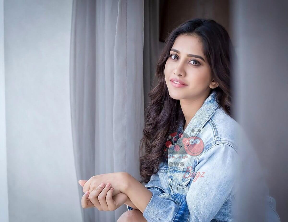 1200x924 Nabha Natesh Image, HD Photo, Wallpaper, Latest