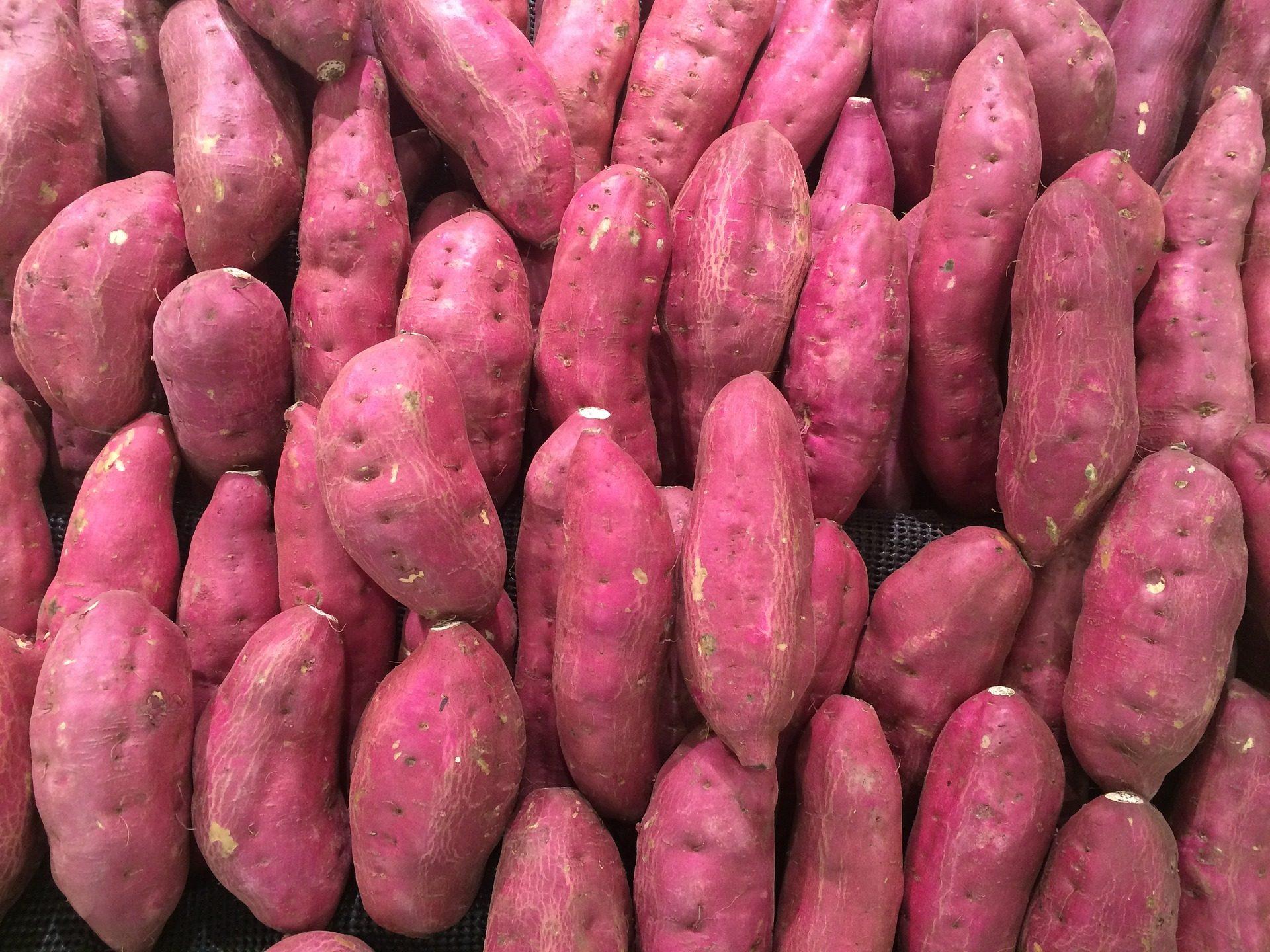 1920x1440 Sweet Potato Image for Free Download