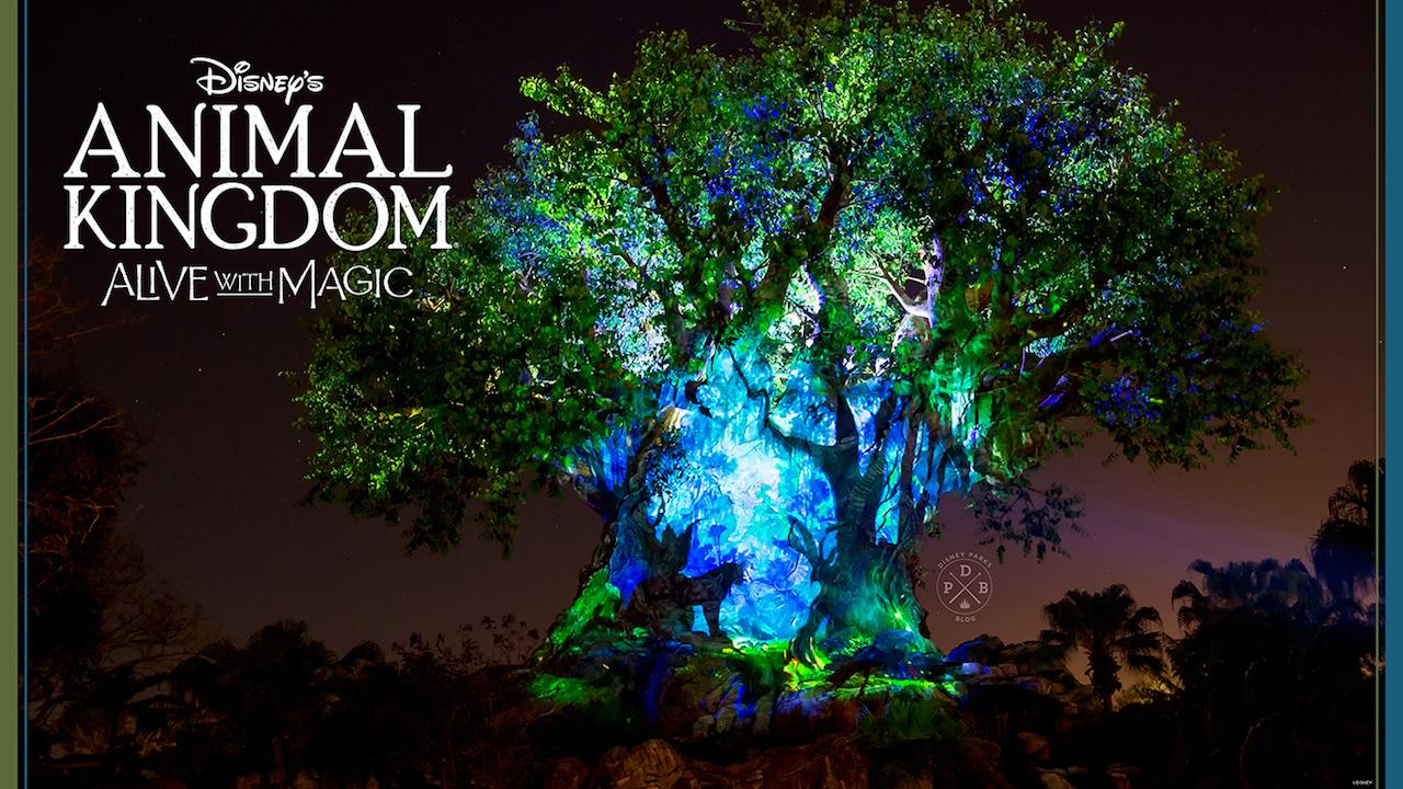 Animal Kingdom Wallpapers Top Free Animal Kingdom Backgrounds Wallpaperaccess