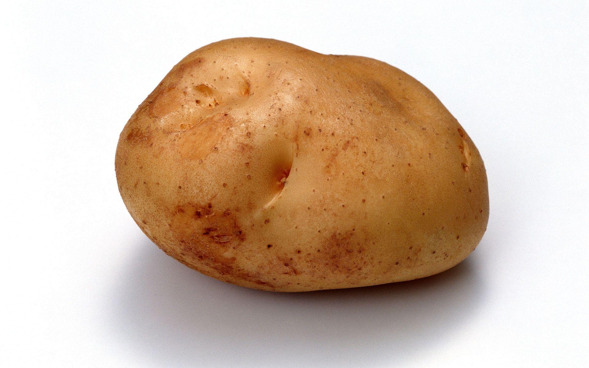 1920x1200 Potato Wallpaper