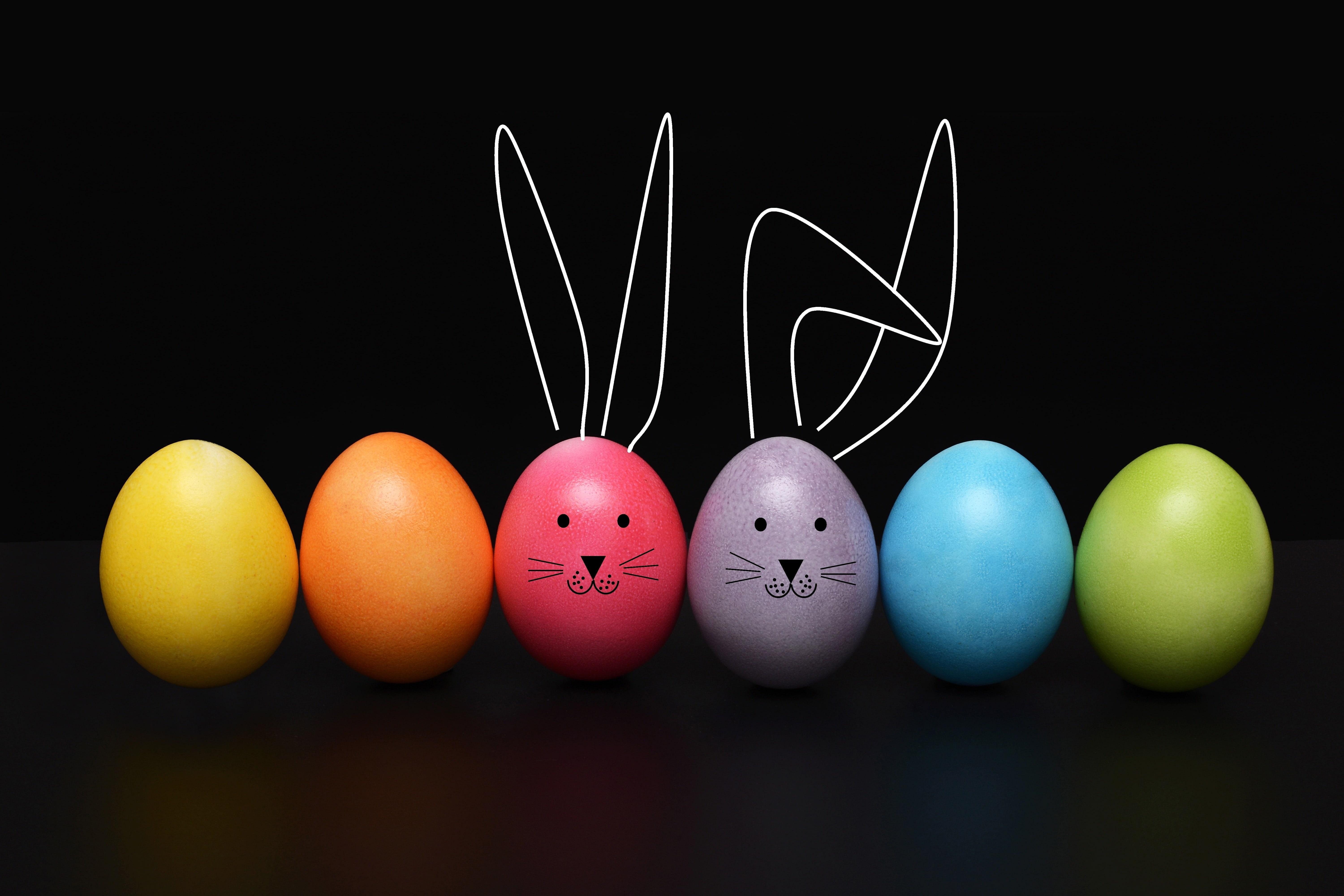 6000x4000 Easter Egg Rabbit Ears Wallpaper and Free Stock