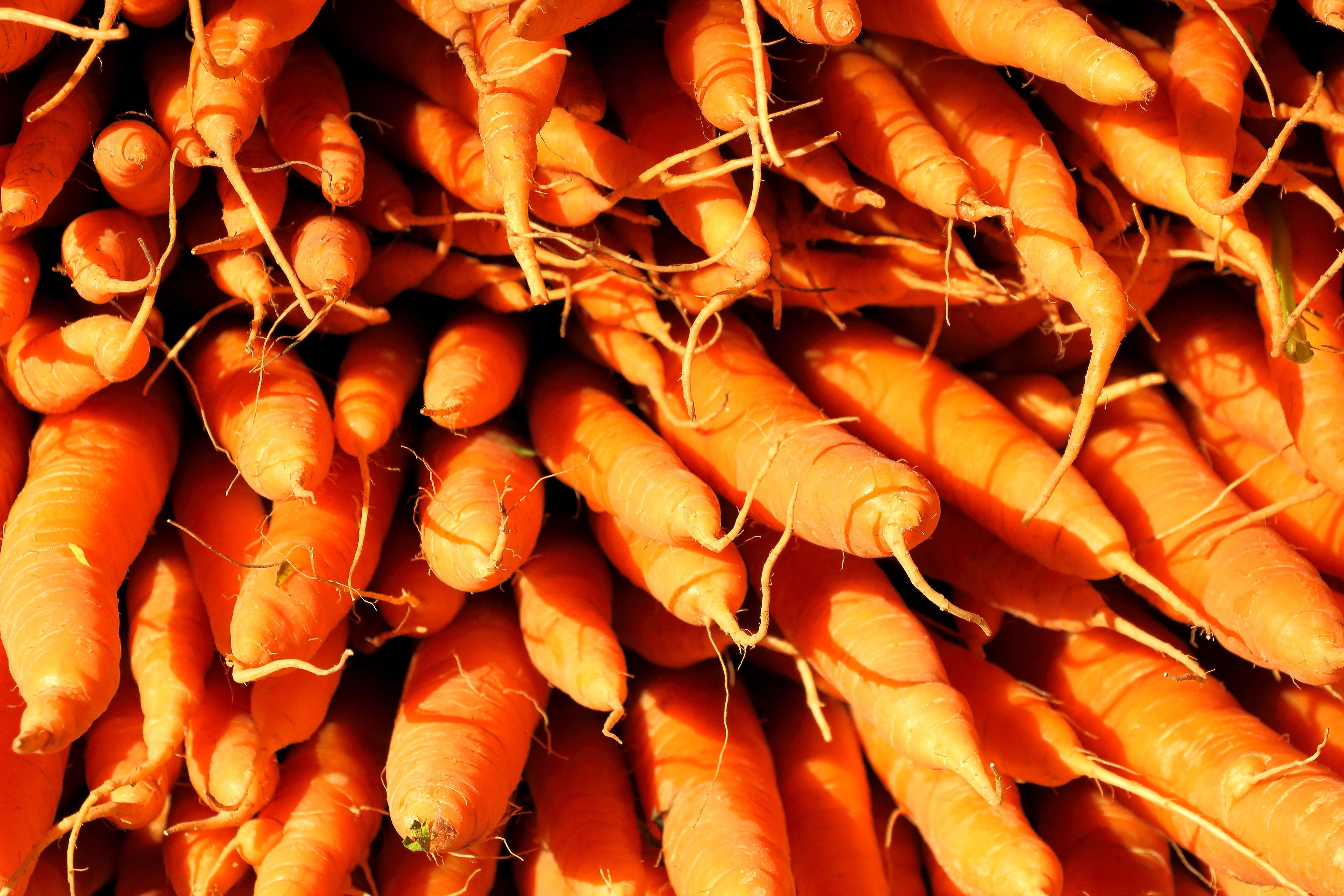 5184x3456 potatoes and sweet potatoes free image