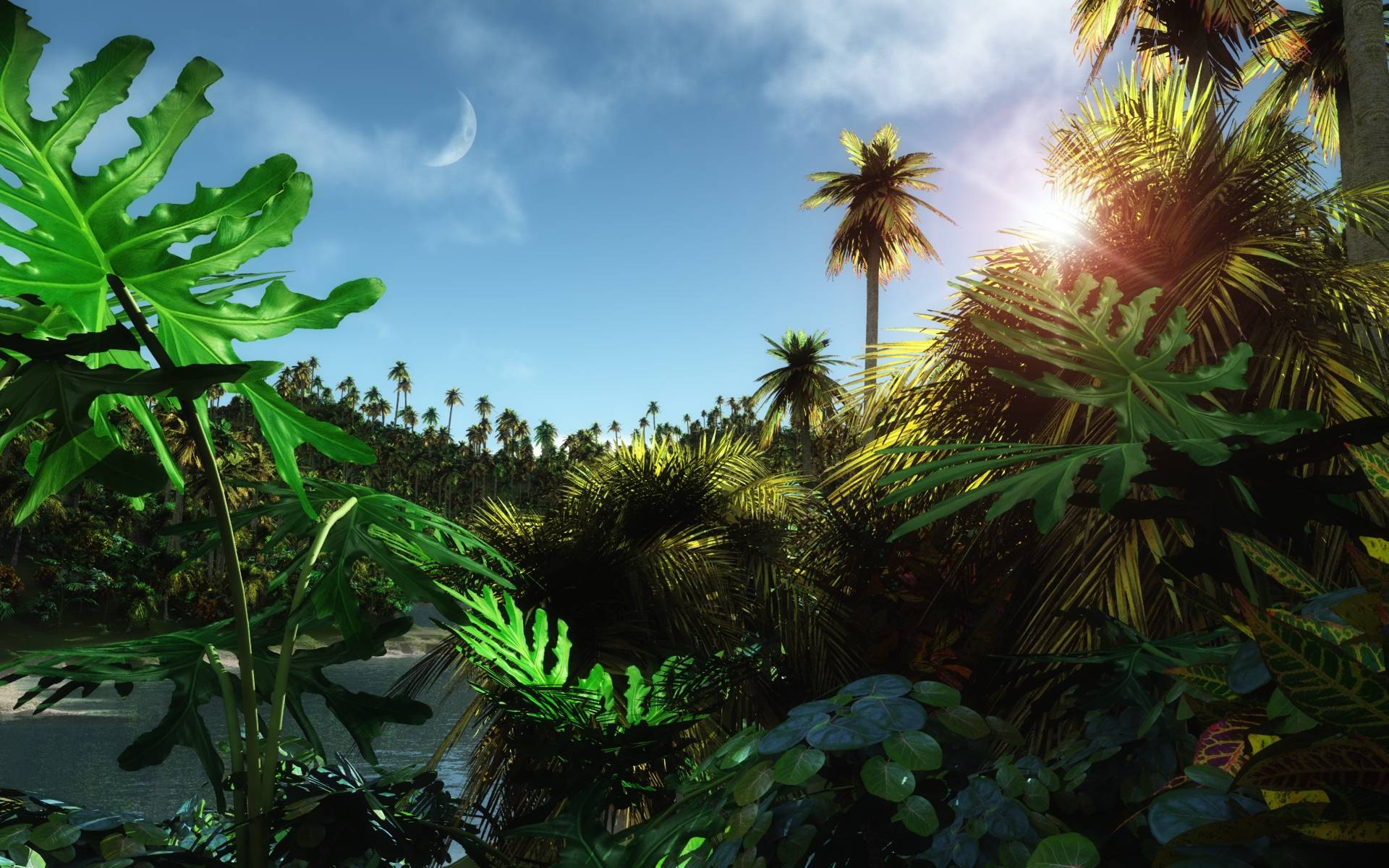1920x1200 Animated Jungle Wallpaper HD 08220