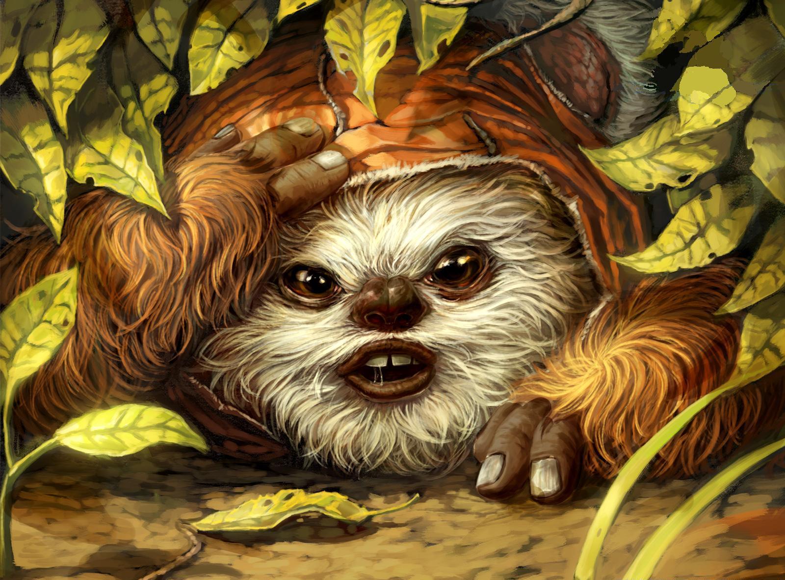1600x1182 Ewok Wallpaper
