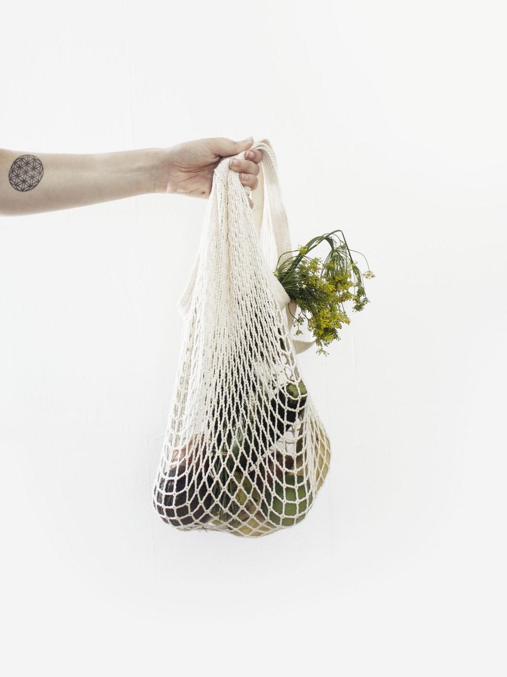 1000x1333 Sustainability Picture. Download Free Image