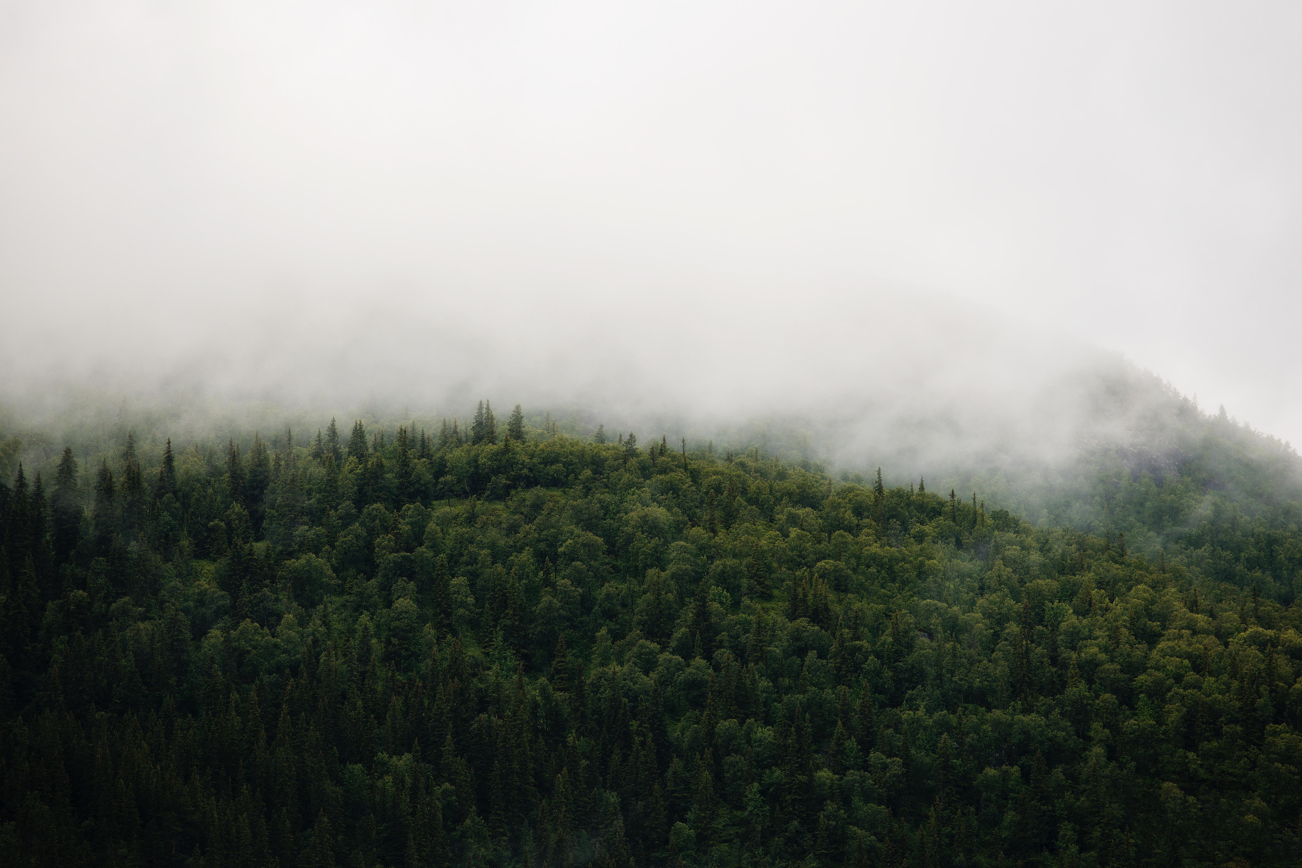 5472x3648 5472x3648 #sustainability, #fog, #cloud, #claen