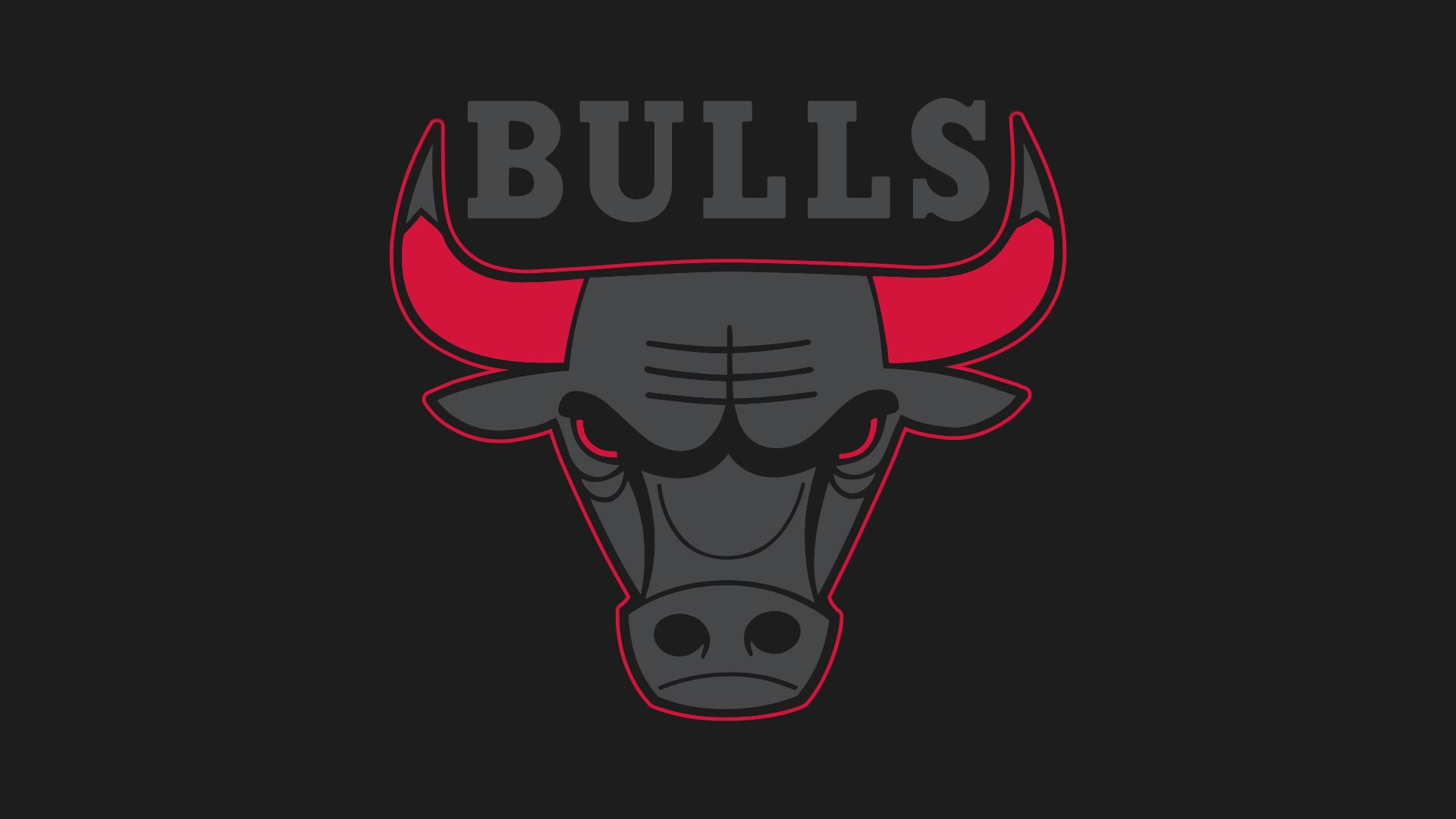 1920x1080 Chicago Bulls Logo Wallpaper HD