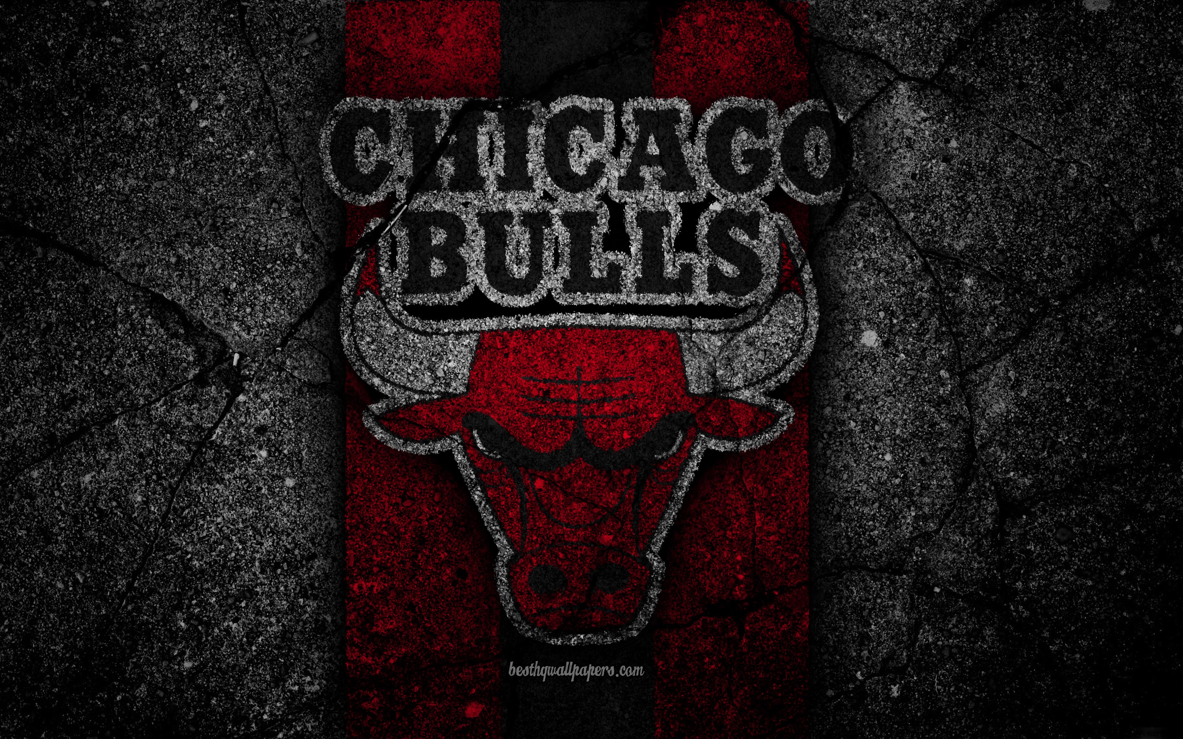 Chicago Bulls Logo Wallpapers - Top Free Chicago Bulls Logo Backgrounds ...