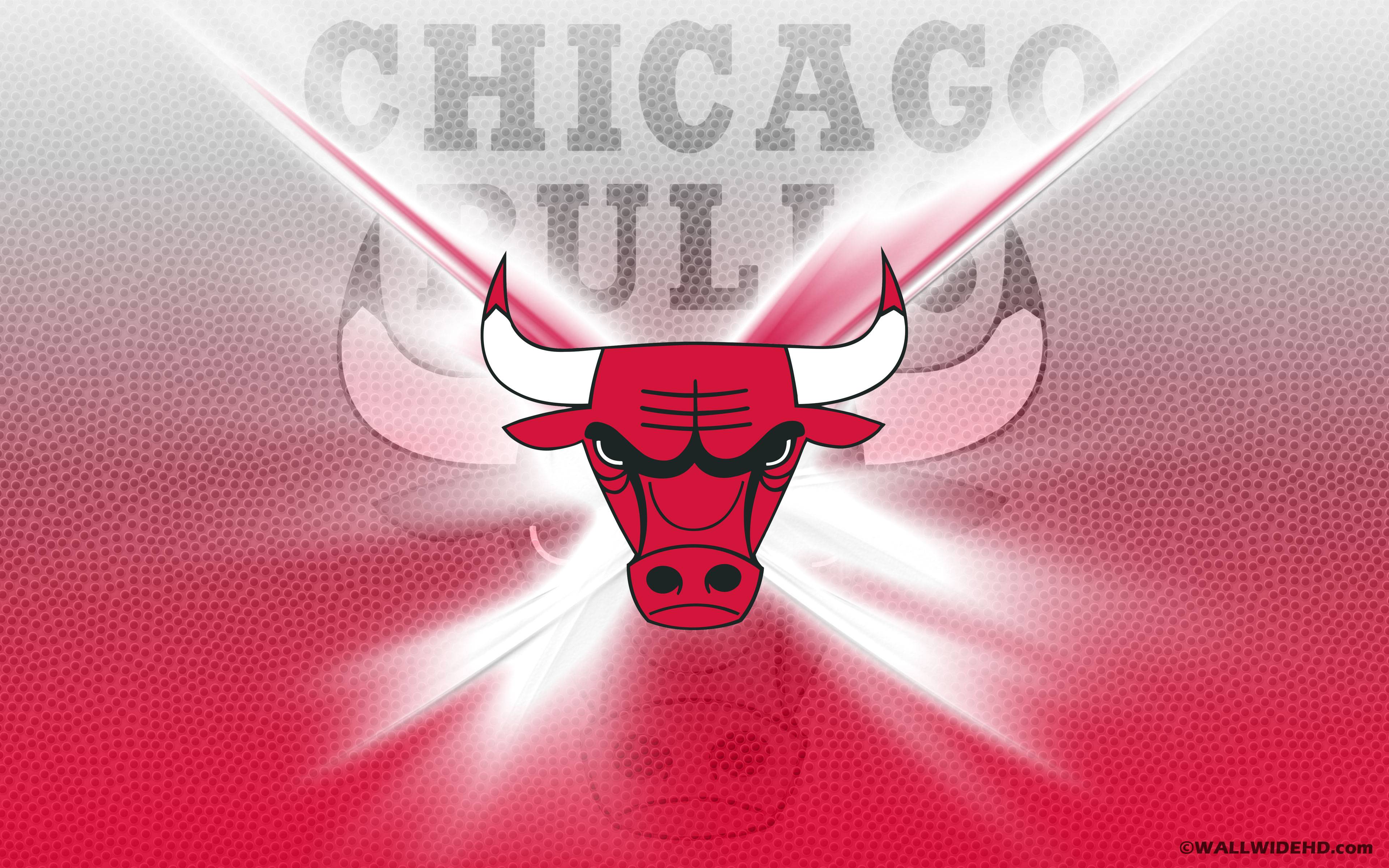 3840x2400 Chicago Bulls Wallpaper HD 2016