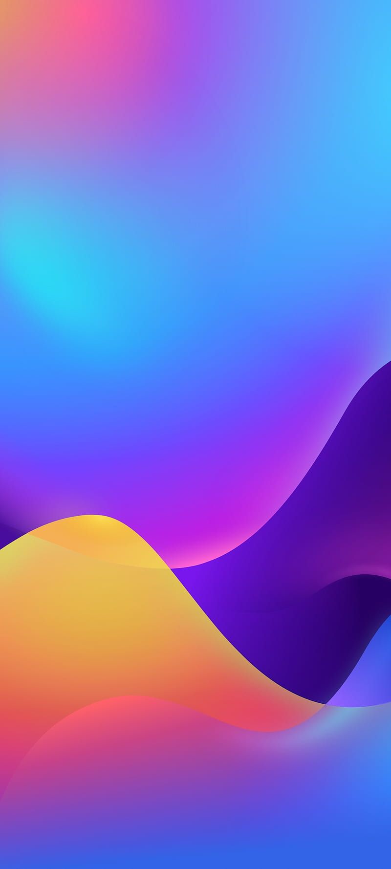 800x1778 HD vibrant wallpaper