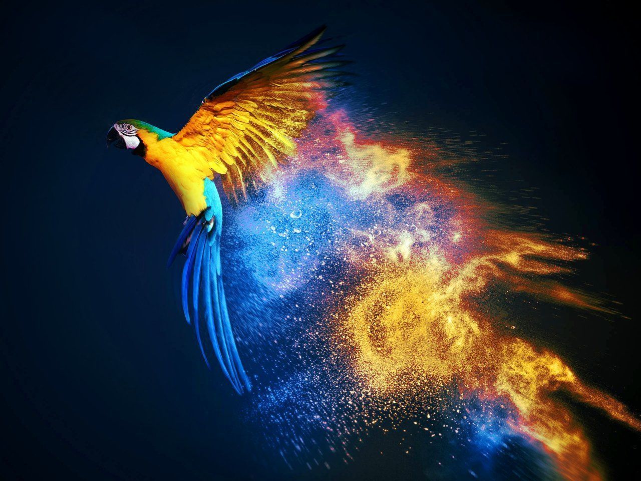 1280x960 OS Wallpaper on X: Parrot Security OS