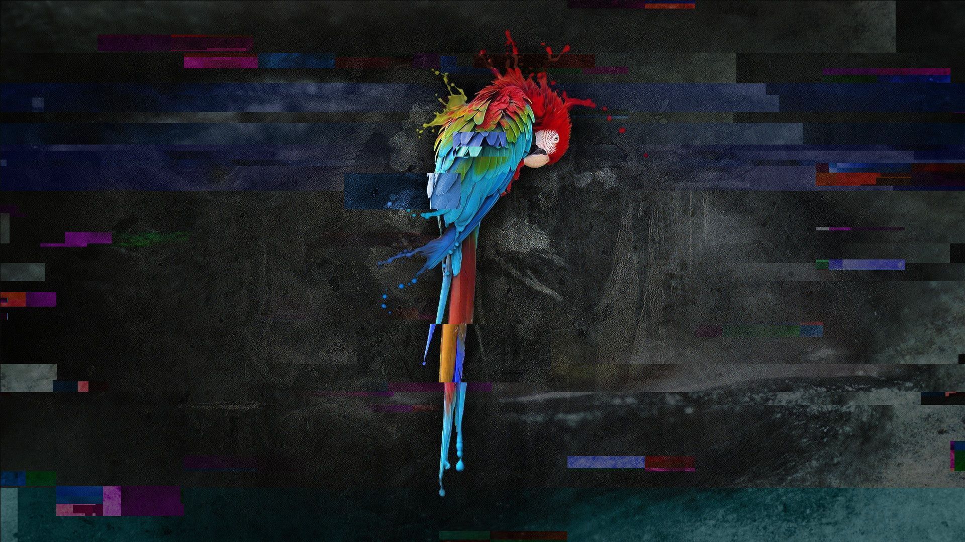 1920x1080 Parrot Security OS Wallpaper