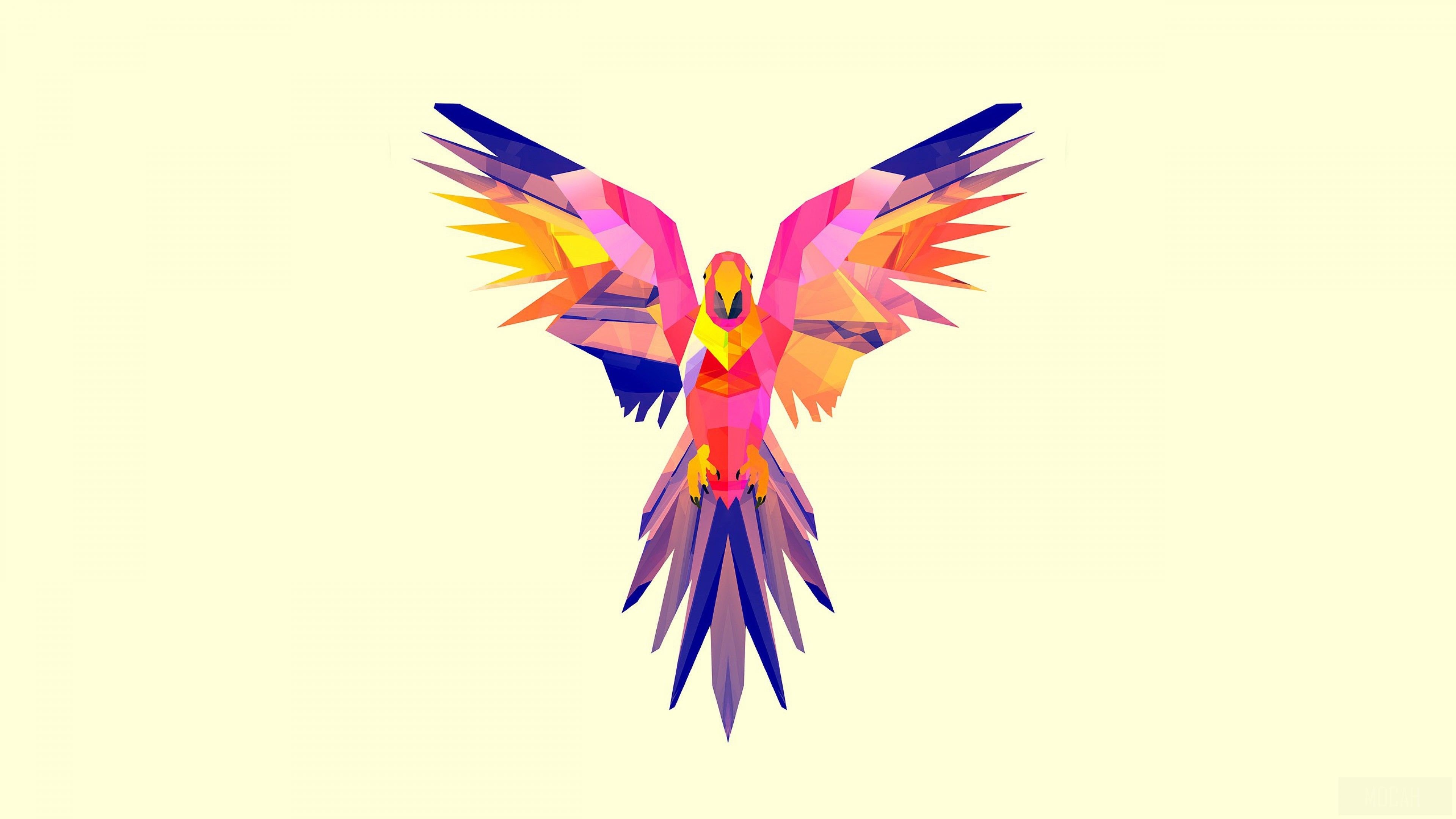3840x2160 Parrot Vector 4k, HD Wallpaper. Rare