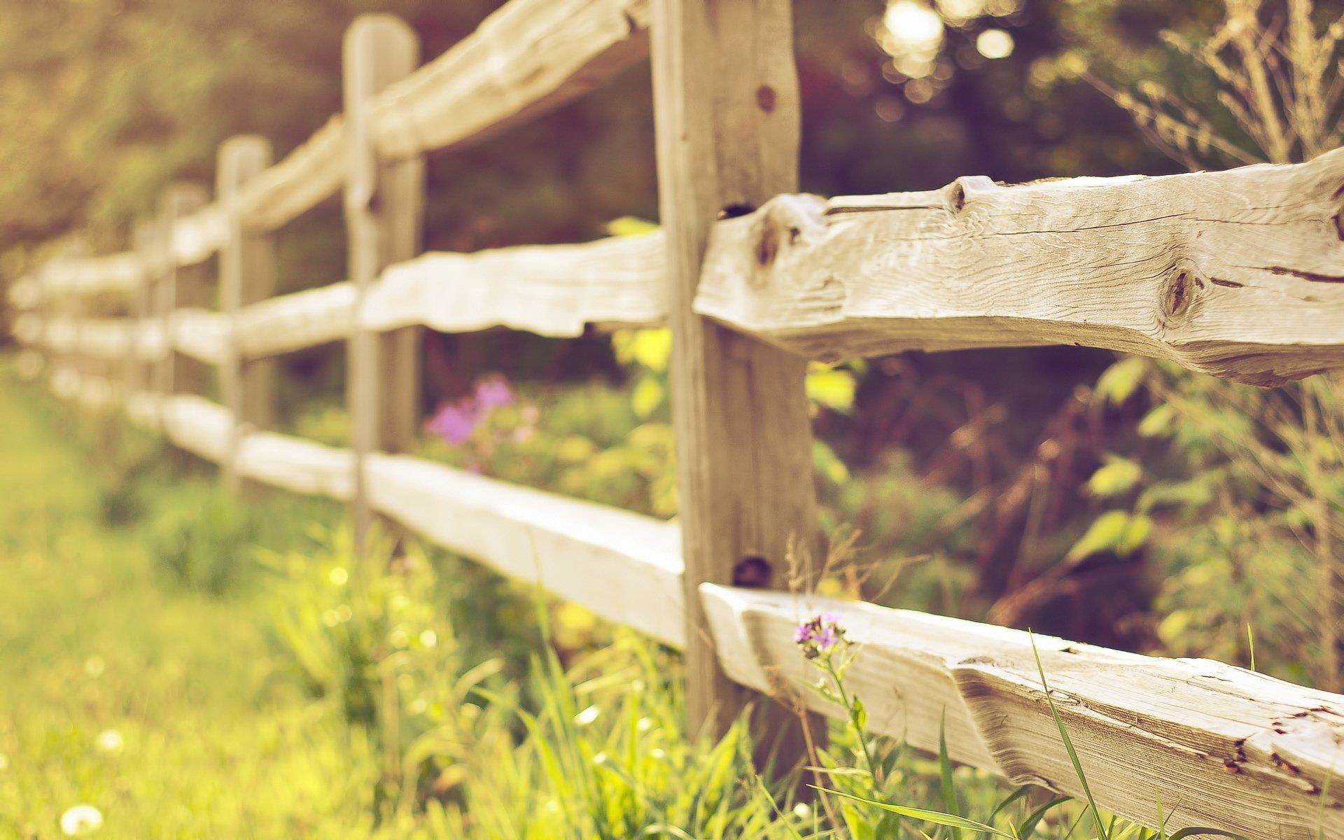 1920x1200 Serene HD Wallpaper Of A Man Made Fence