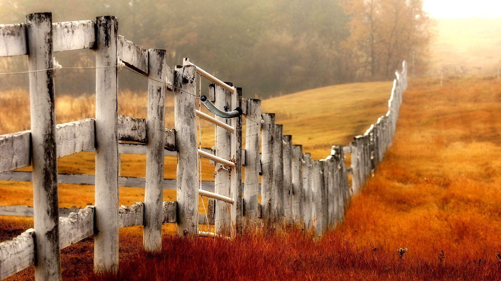 1920x1080 Wood Fence Wallpaper