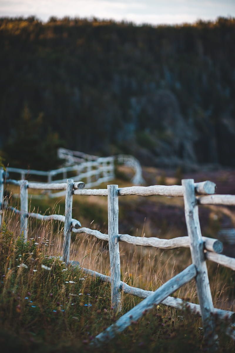 800x1200 HD fence wallpaper