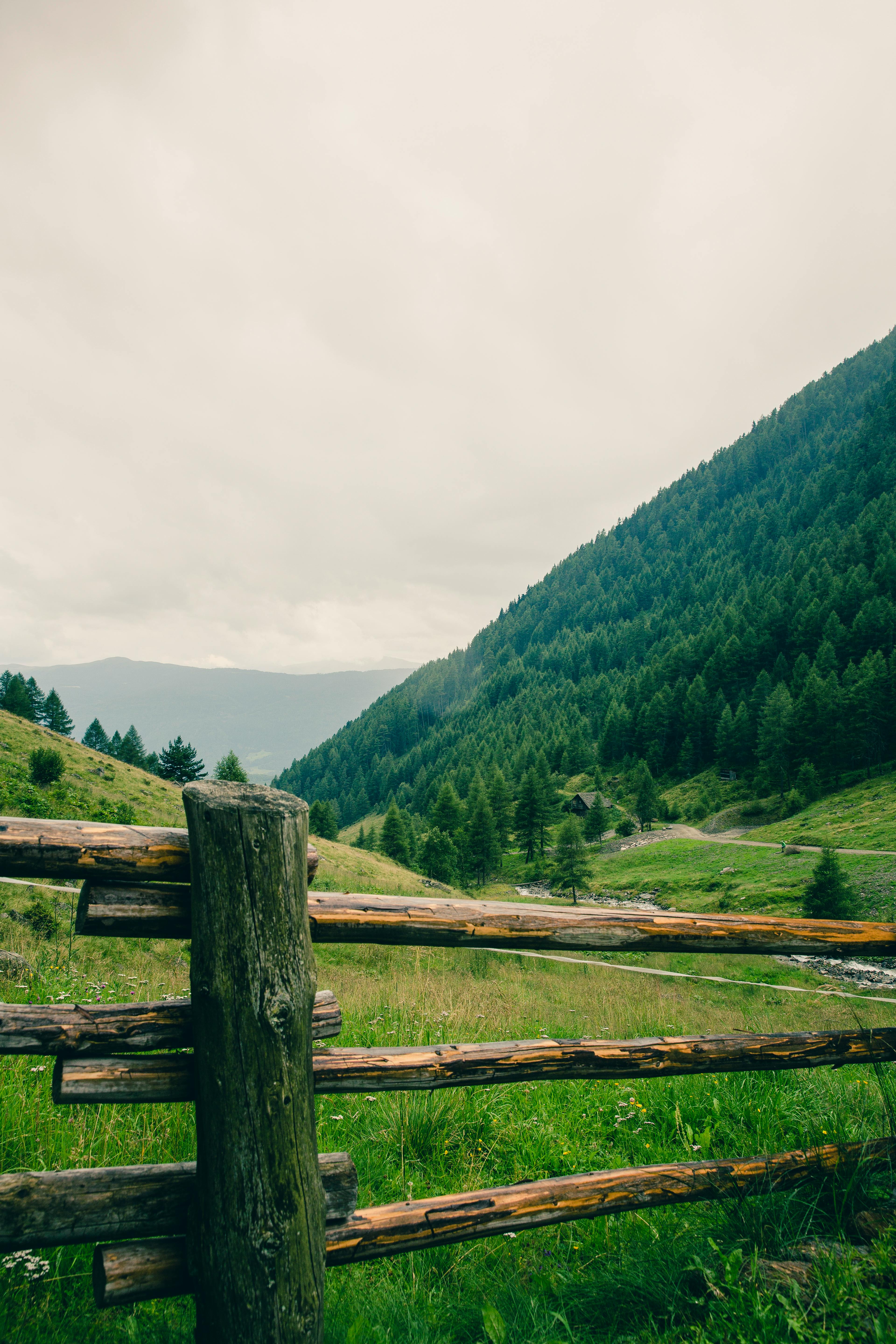 3840x5760 Wooden Fence Photo, Download The BEST