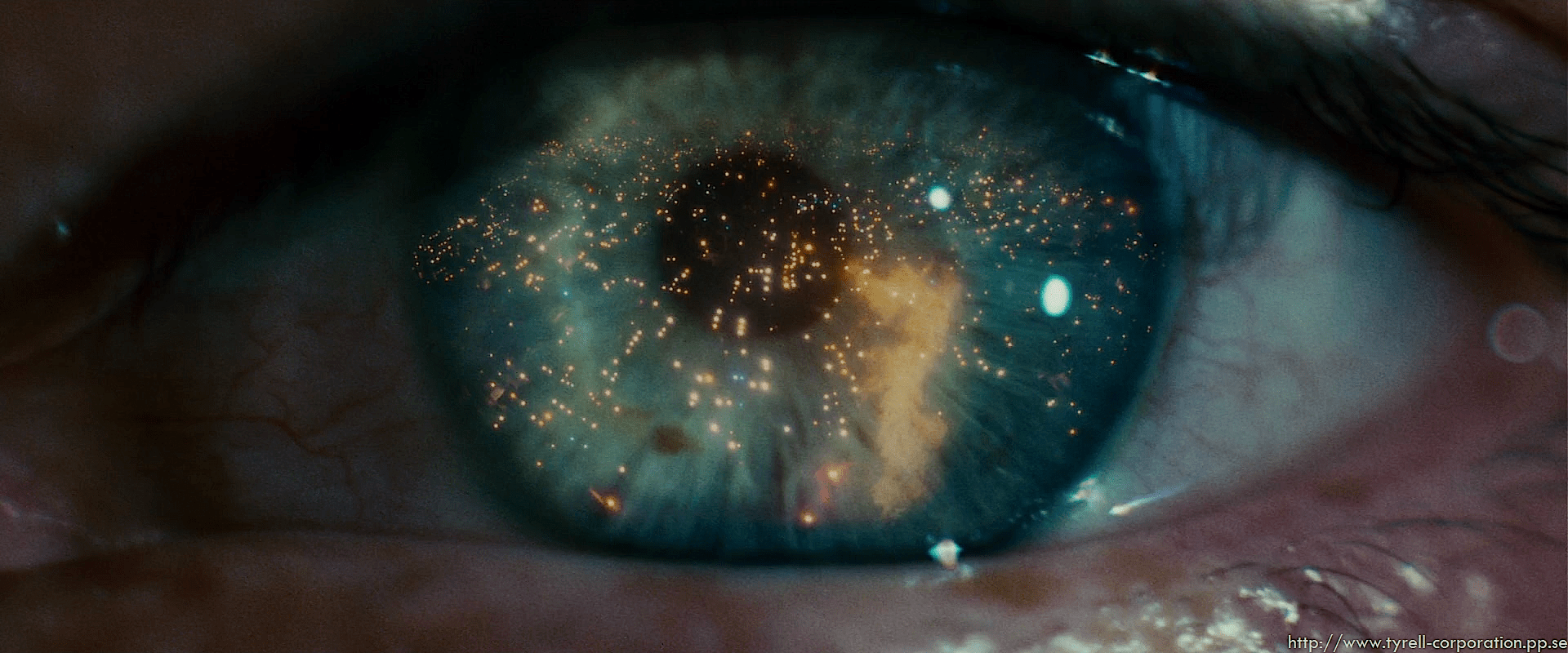 1920x800 Download Artistic Eye Wallpaper