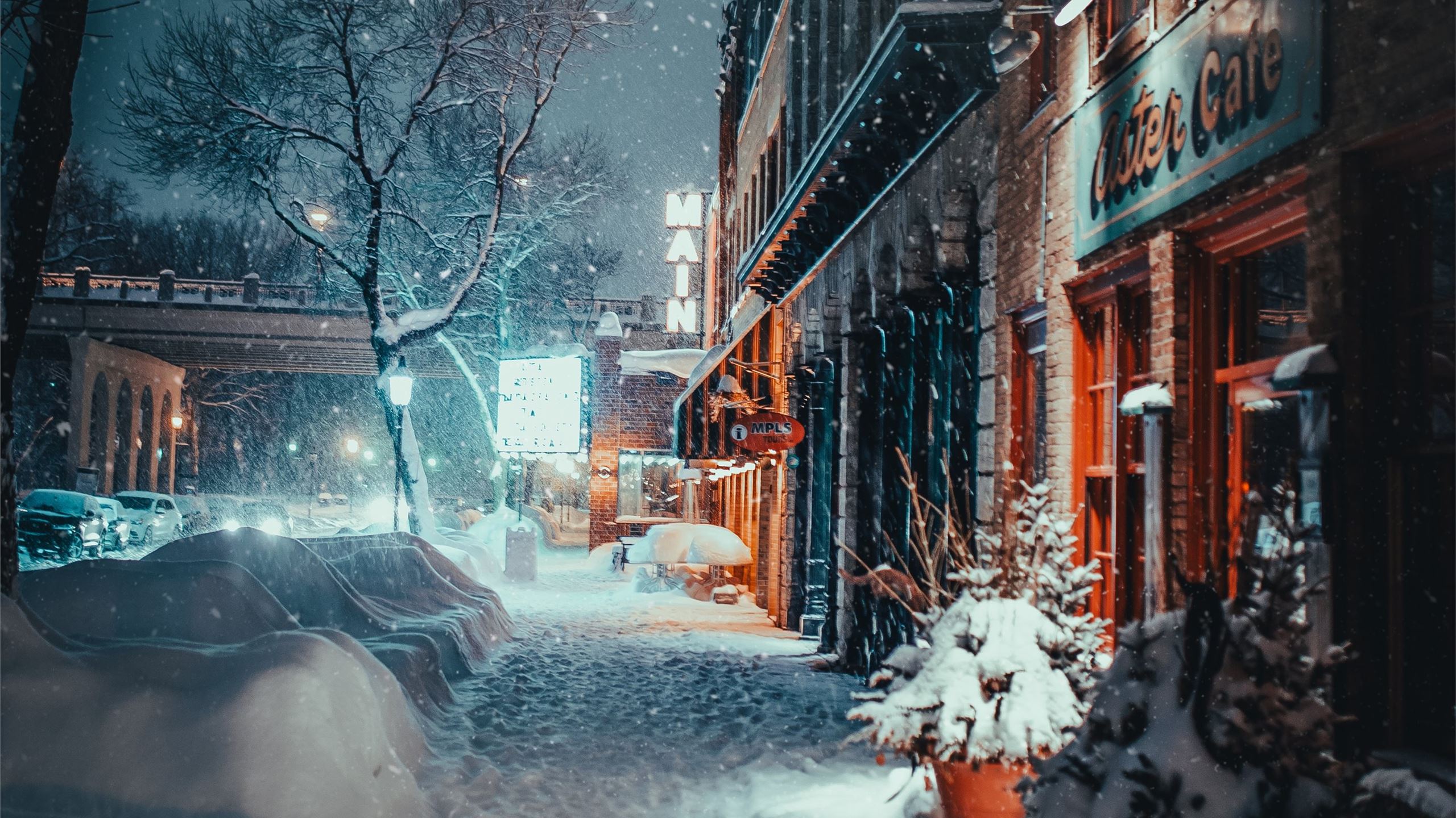 2560x1440 snow covered plant and ro. MacBook