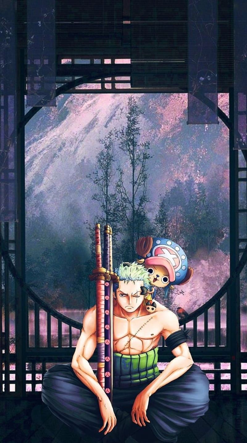 800x1436 Zoro, anime, chopper, one piece, roronoa, HD phone wallpaper