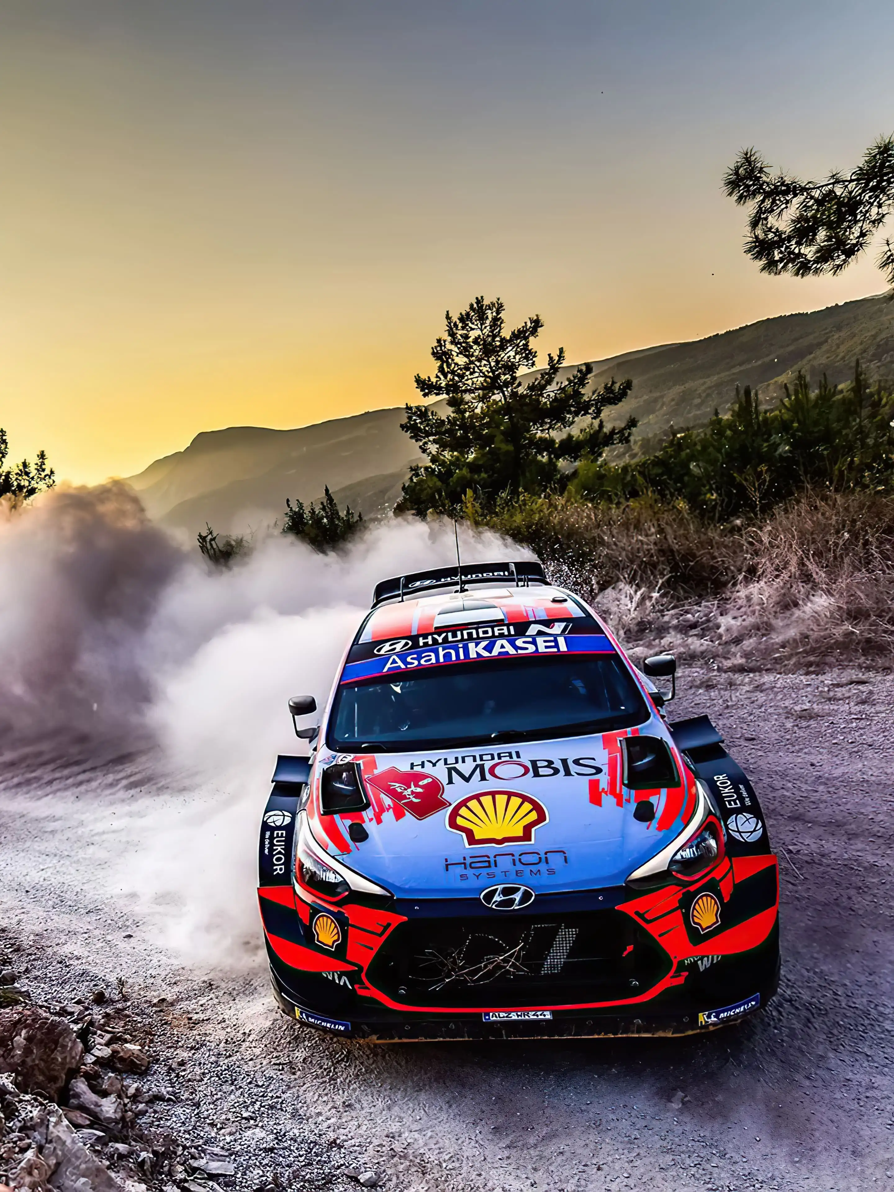 2880x3840 Hyundai i20 WRC wallpaper