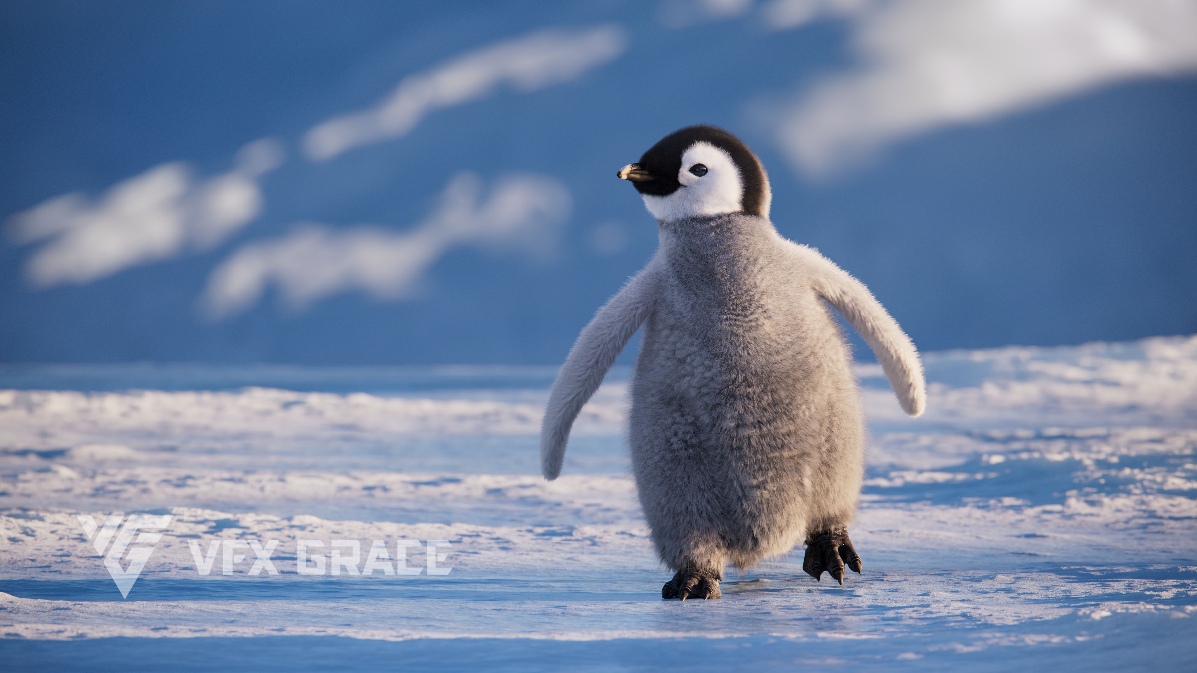 3840x2160 Baby Emperor Penguin Animated. VFX