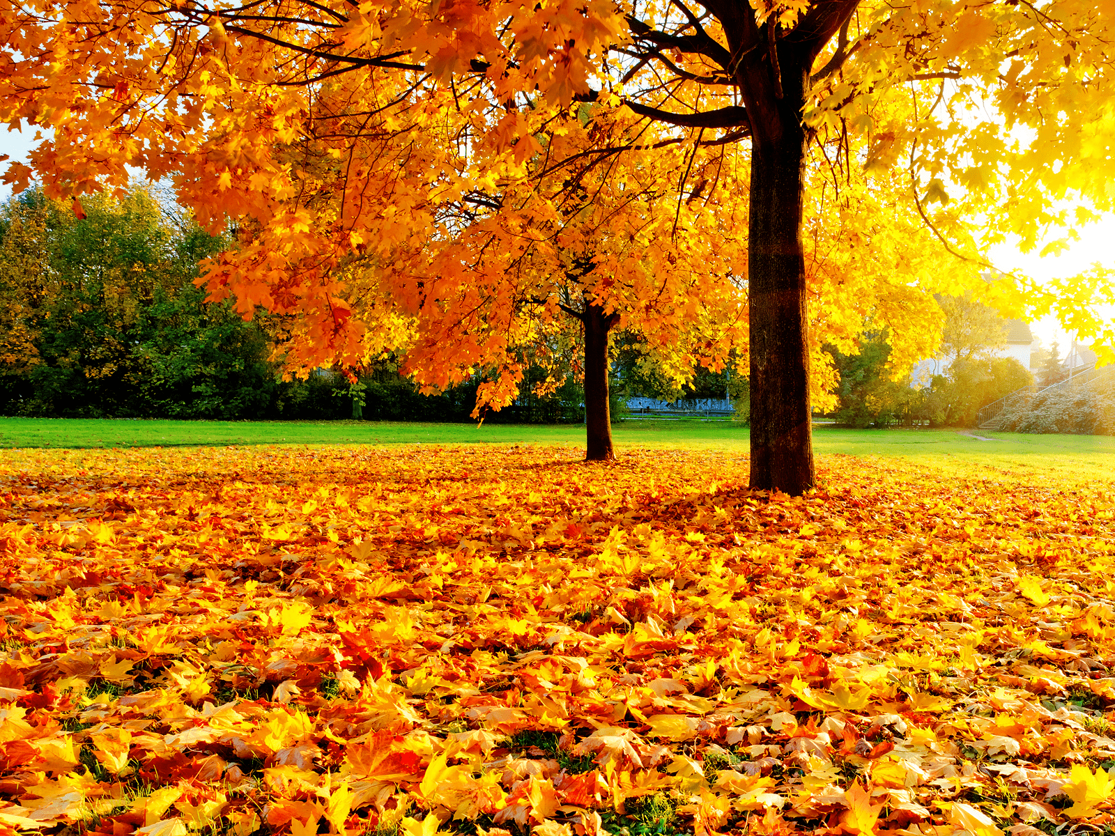 1600x1200 Europe Autumn Wallpaper