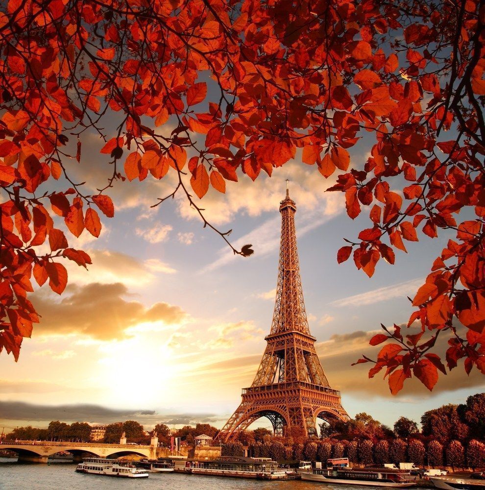 990x1000 European Autumn iPhone Wallpaper