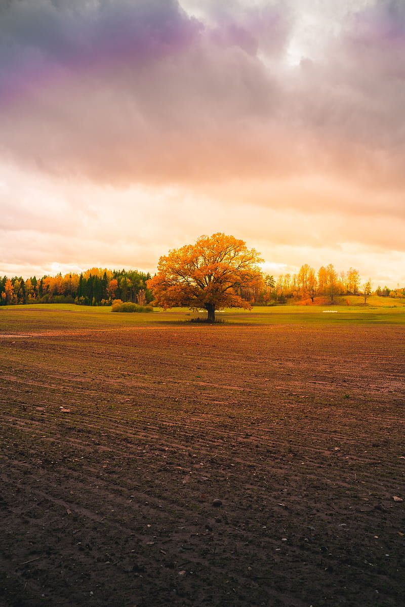 800x1200 HD latvia
