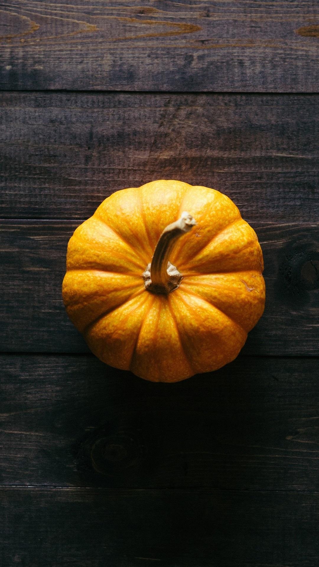 Pumpkin iPhone Wallpapers Top Free Pumpkin iPhone Backgrounds WallpaperAccess