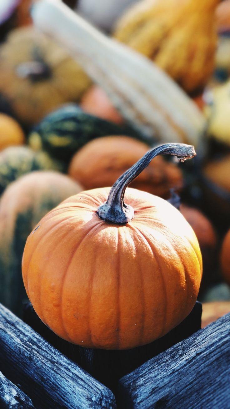 736x1308 iPhone Wallpaper To Fall In Love With Autumn. Aesthetic