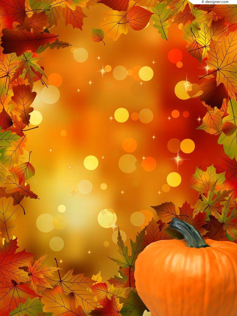 800x1067 Pumpkins with Fall Harvest Wallpaper at