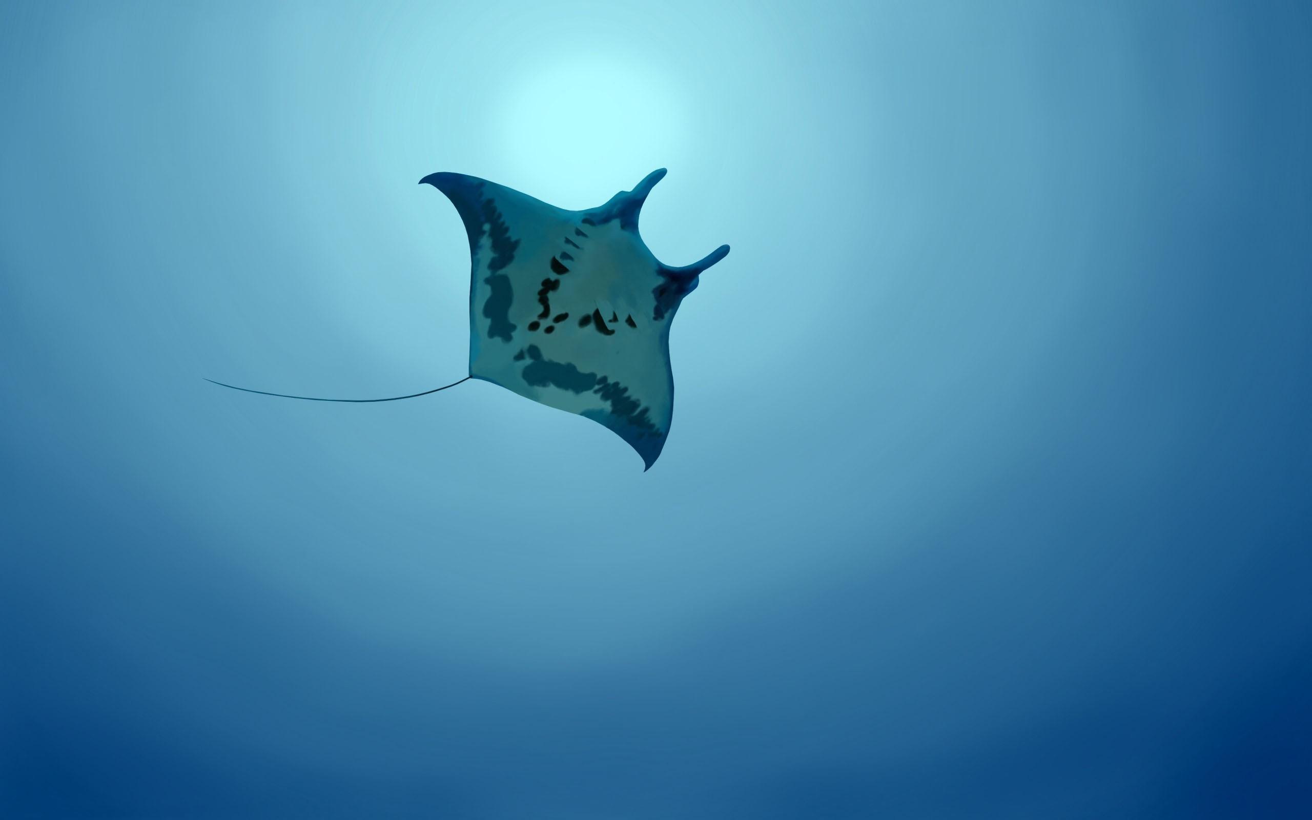 Maldives Free Mobile Wallpaper of Manta Rays  Freebie