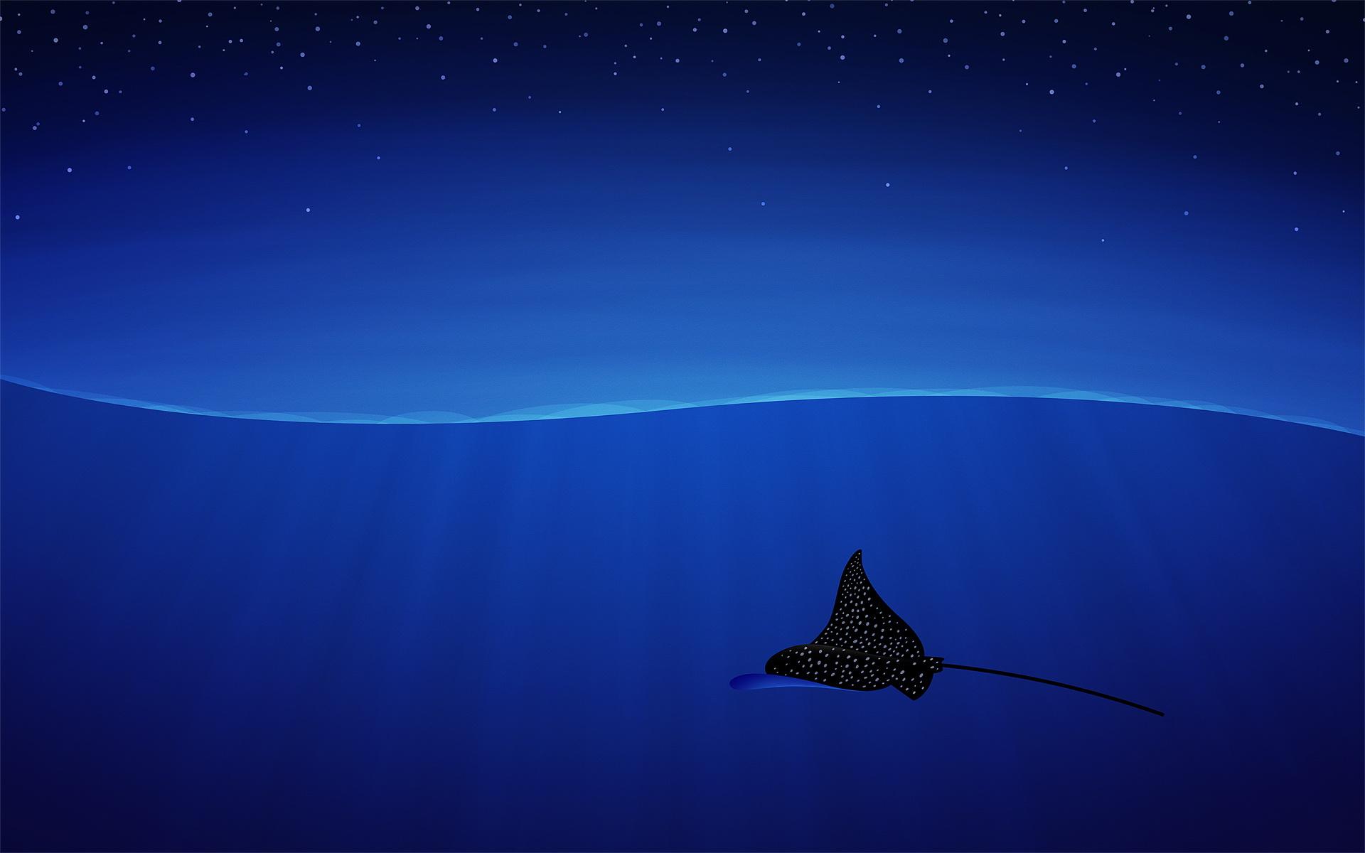 Manta Ray Wallpapers - Top Free Manta Ray Backgrounds - WallpaperAccess