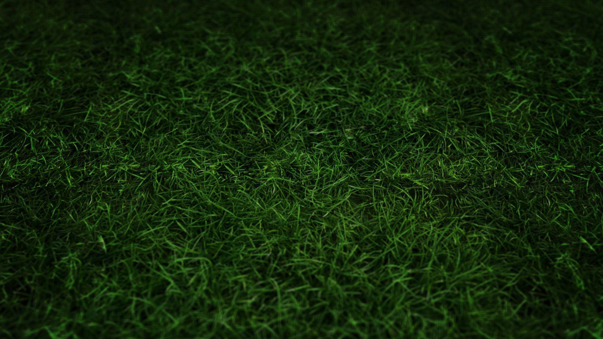 1920x1080 Dark Green Grass Hình nền HD