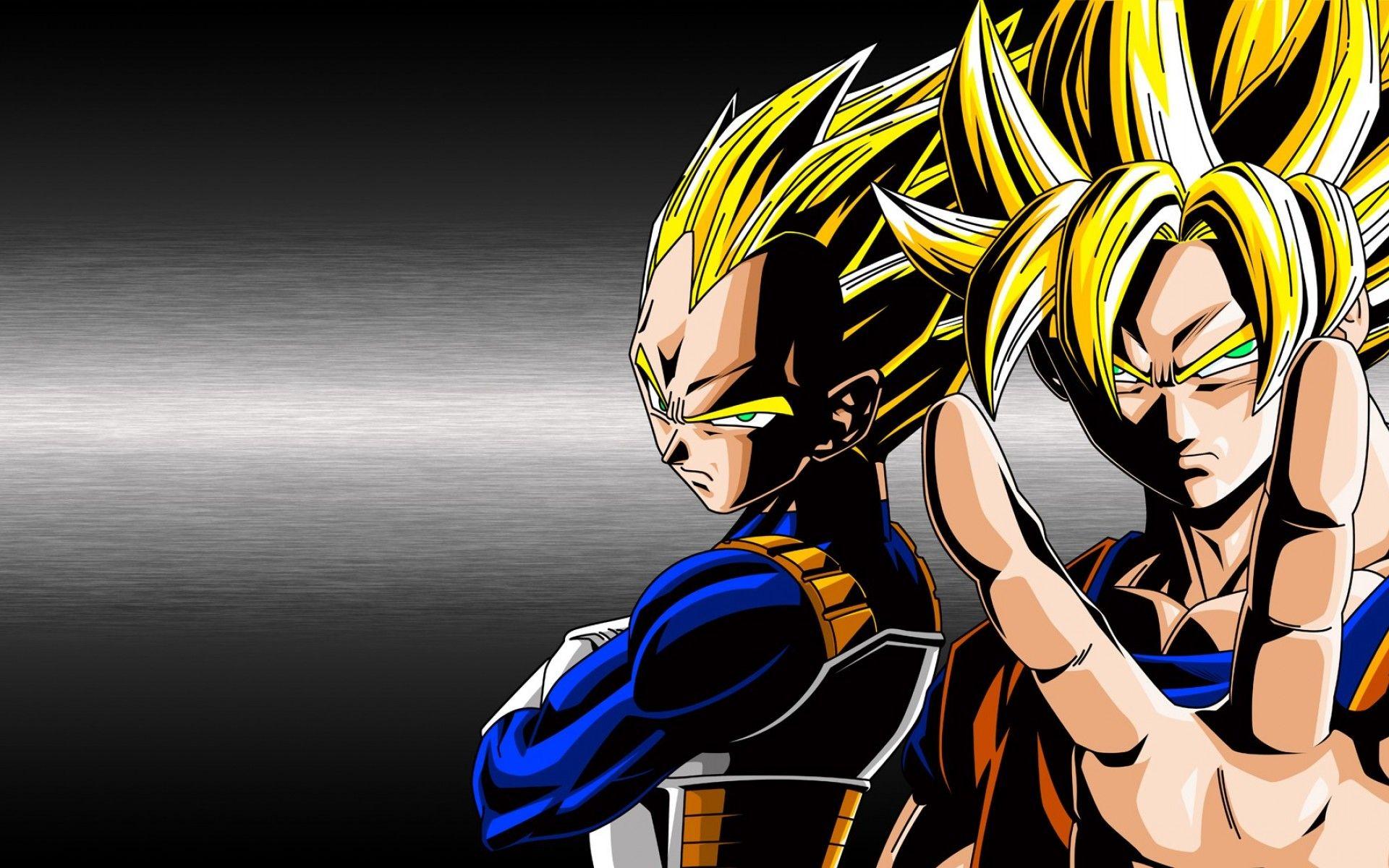 1920x1200 Dragon Ball Z Goku And Vegeta HD wallpaper
