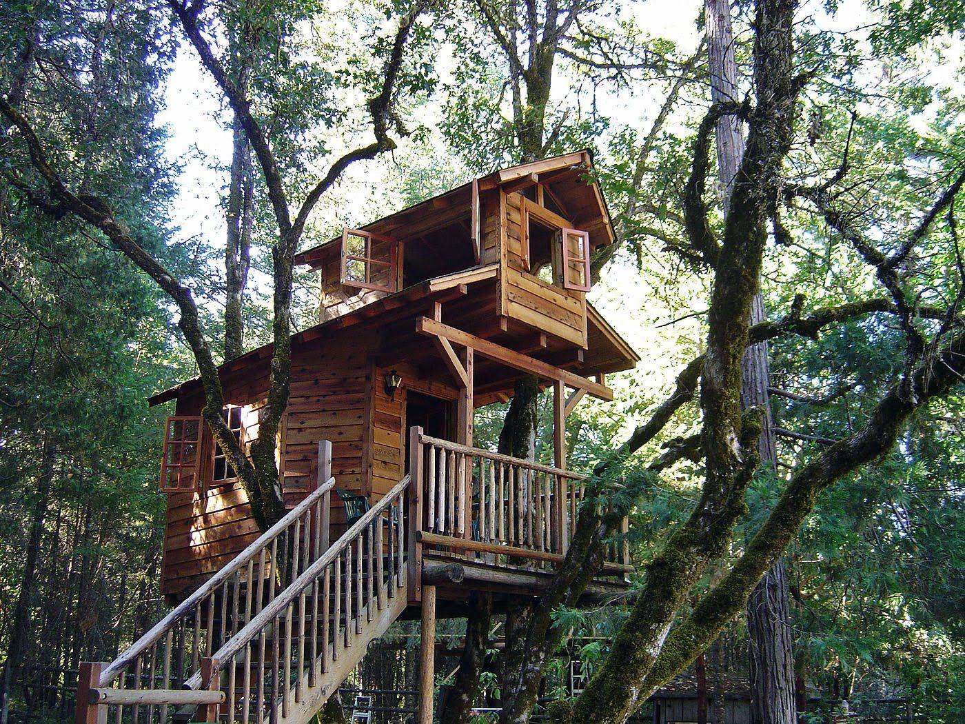 Tree House Wallpapers - Top Free Tree House Backgrounds - WallpaperAccess