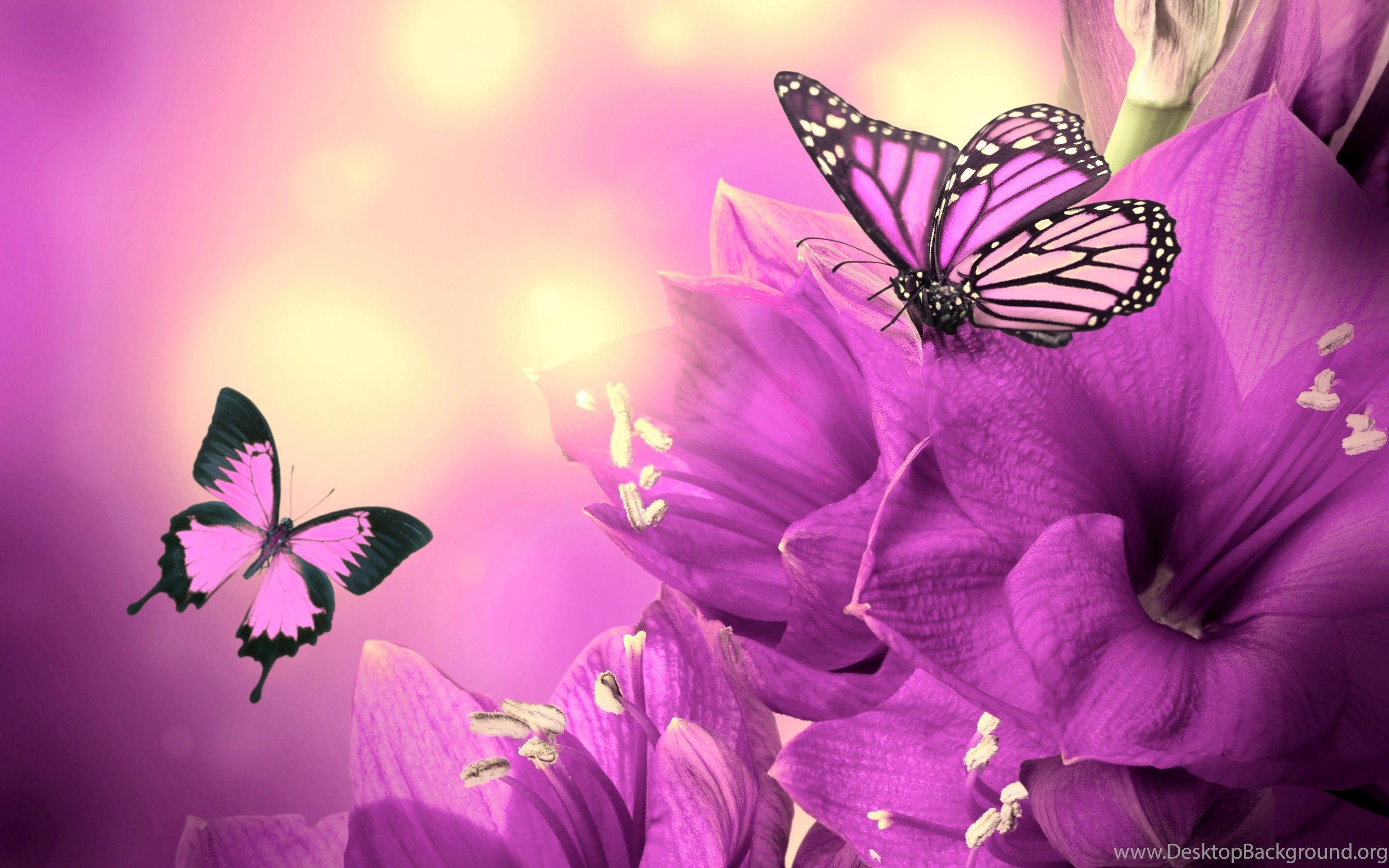 2880x1800 Purple Butterfly and Flower Wallpaper