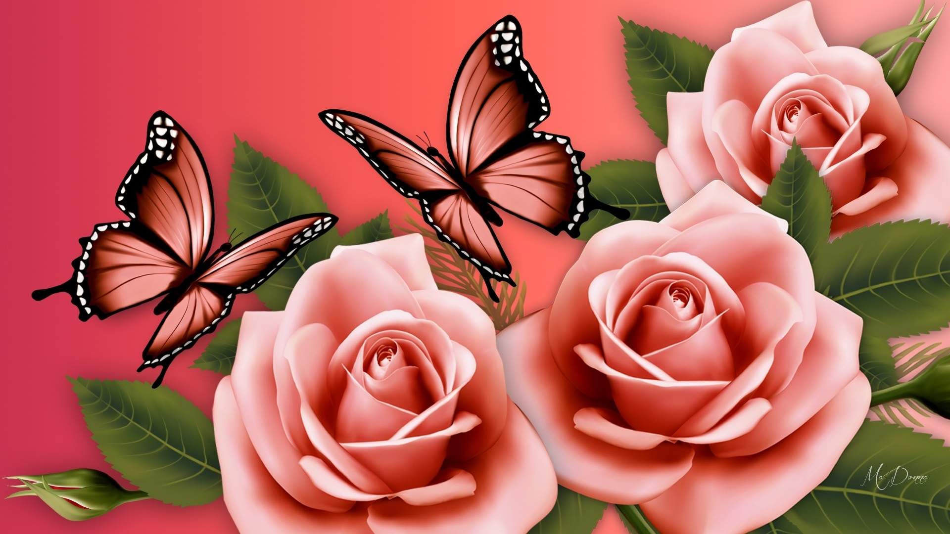 1920x1080 Flowers With Butterfly Wallpaper HD Flower And Butterfly