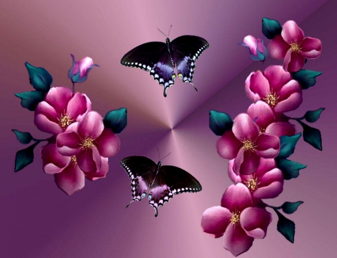 1164x892 Butterfly Flower Wallpaper