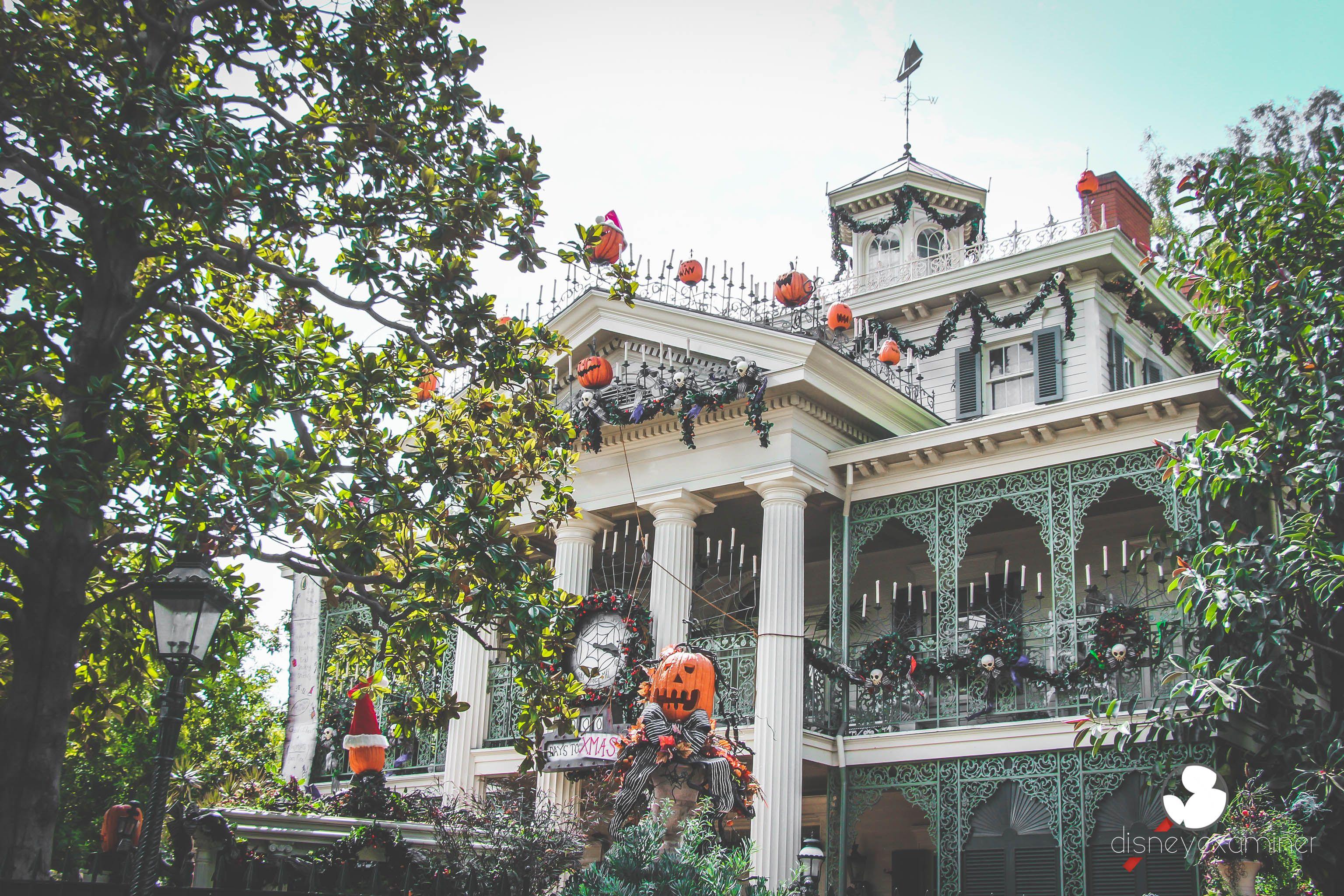 3072x2048 Fall” in love with our free set of Disneyland wallpaper