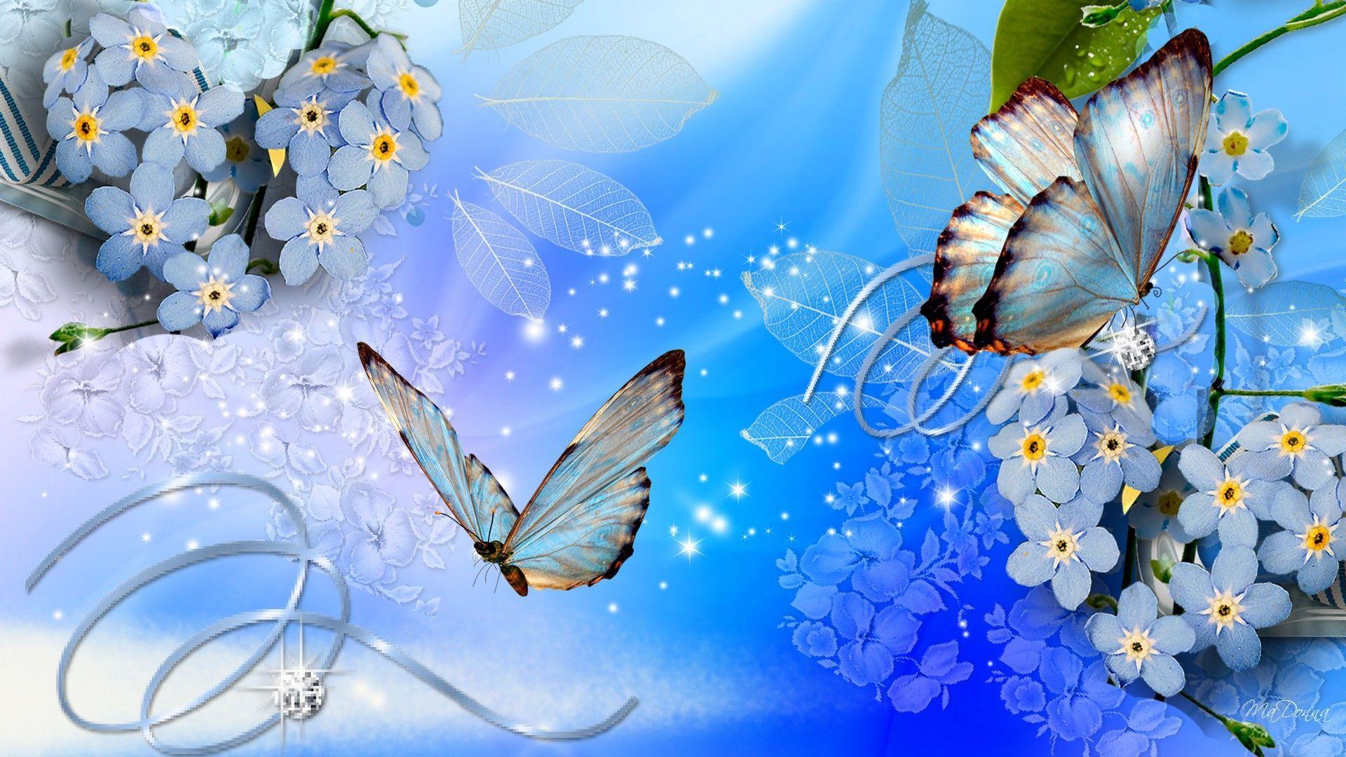 Blue Flower And Butterfly Wallpapers Top Free Blue Flower And