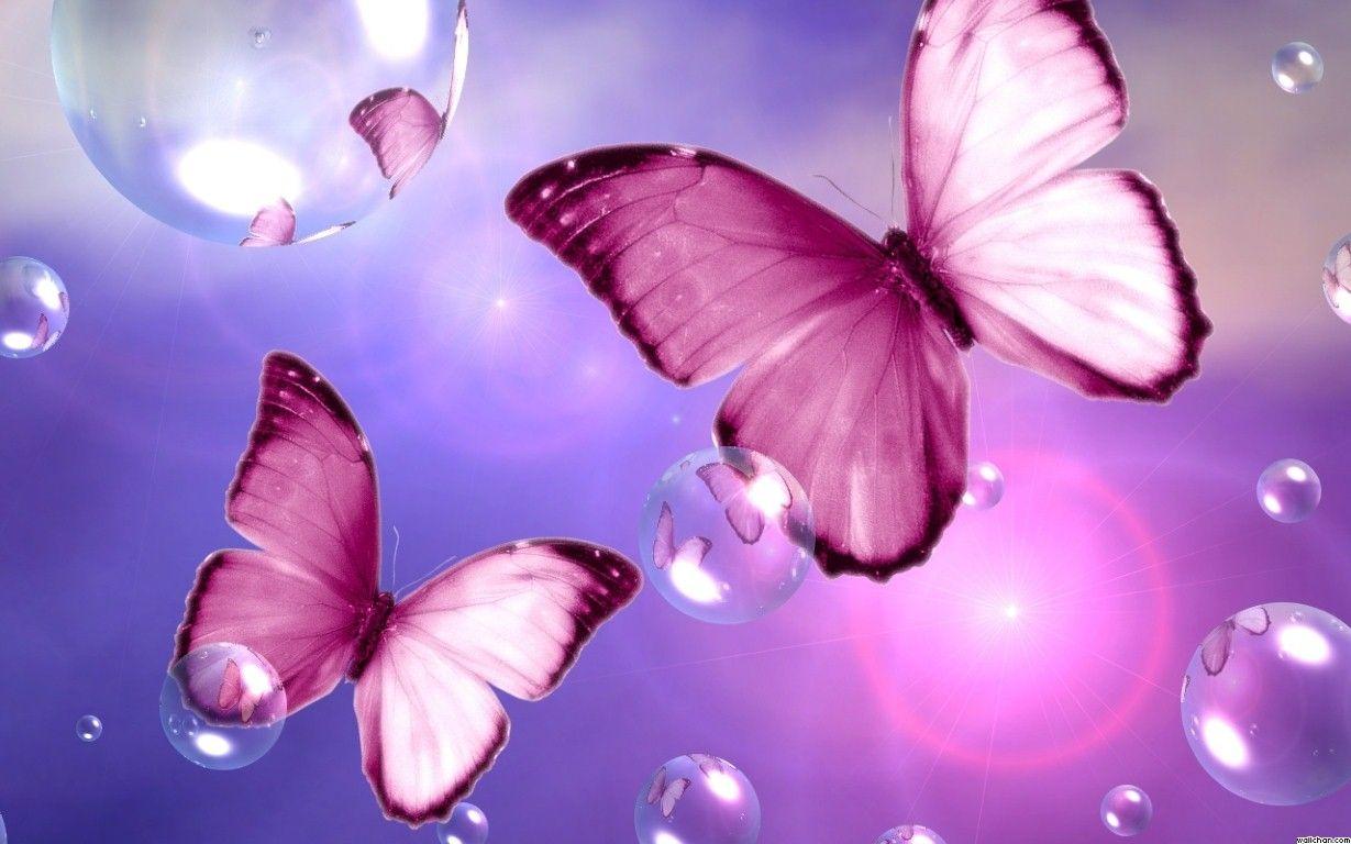 1229x768 Free download Butterfly and flowers wallpaper Wallpaper Wide
