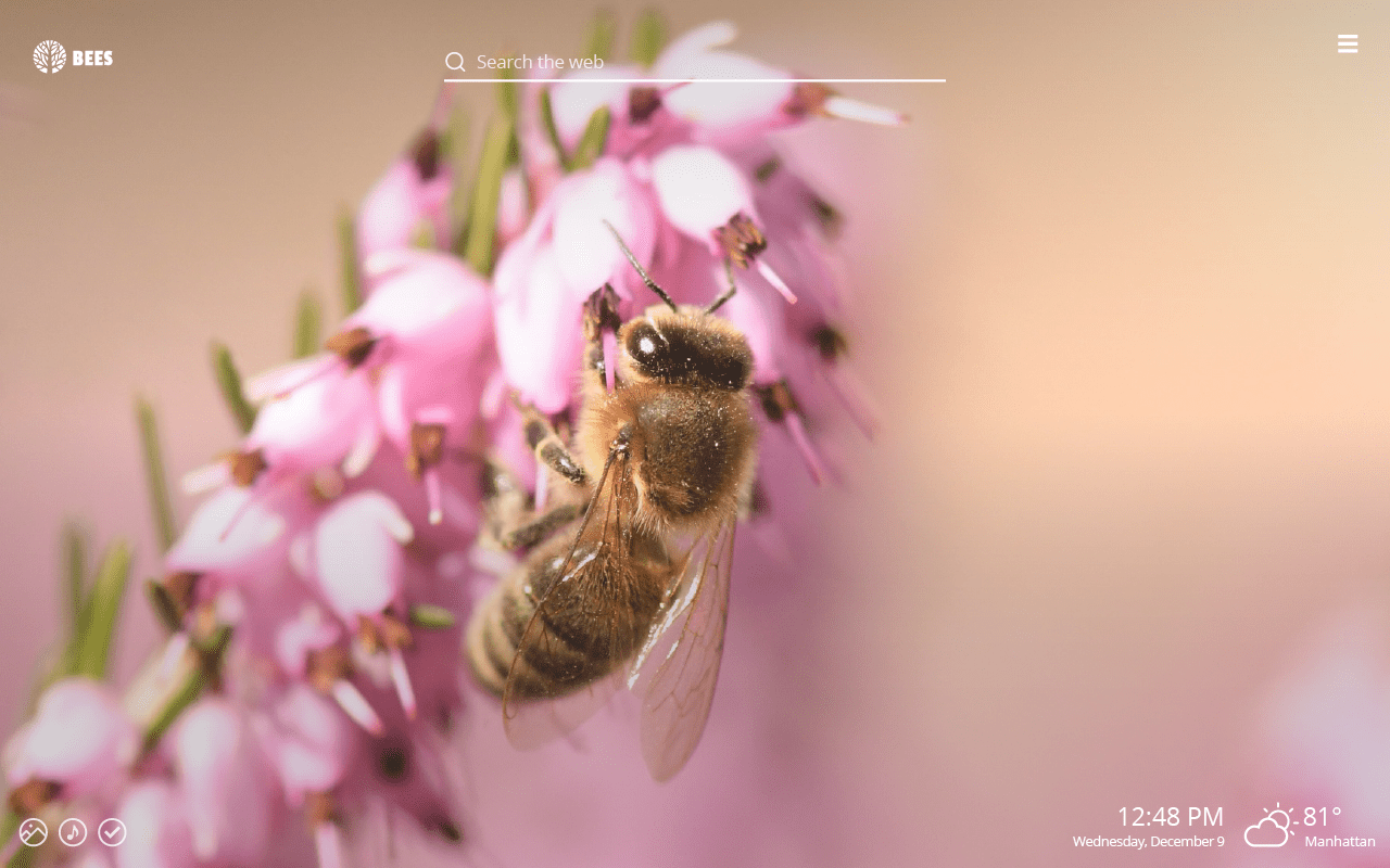 1280x800 Bees Wallpaper New Tab For Google Chrome