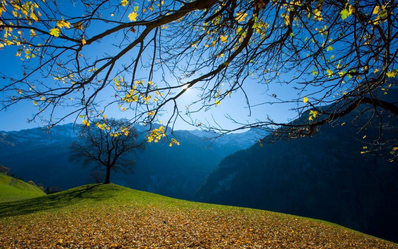 1280x800 Nature Wallpaper 30469