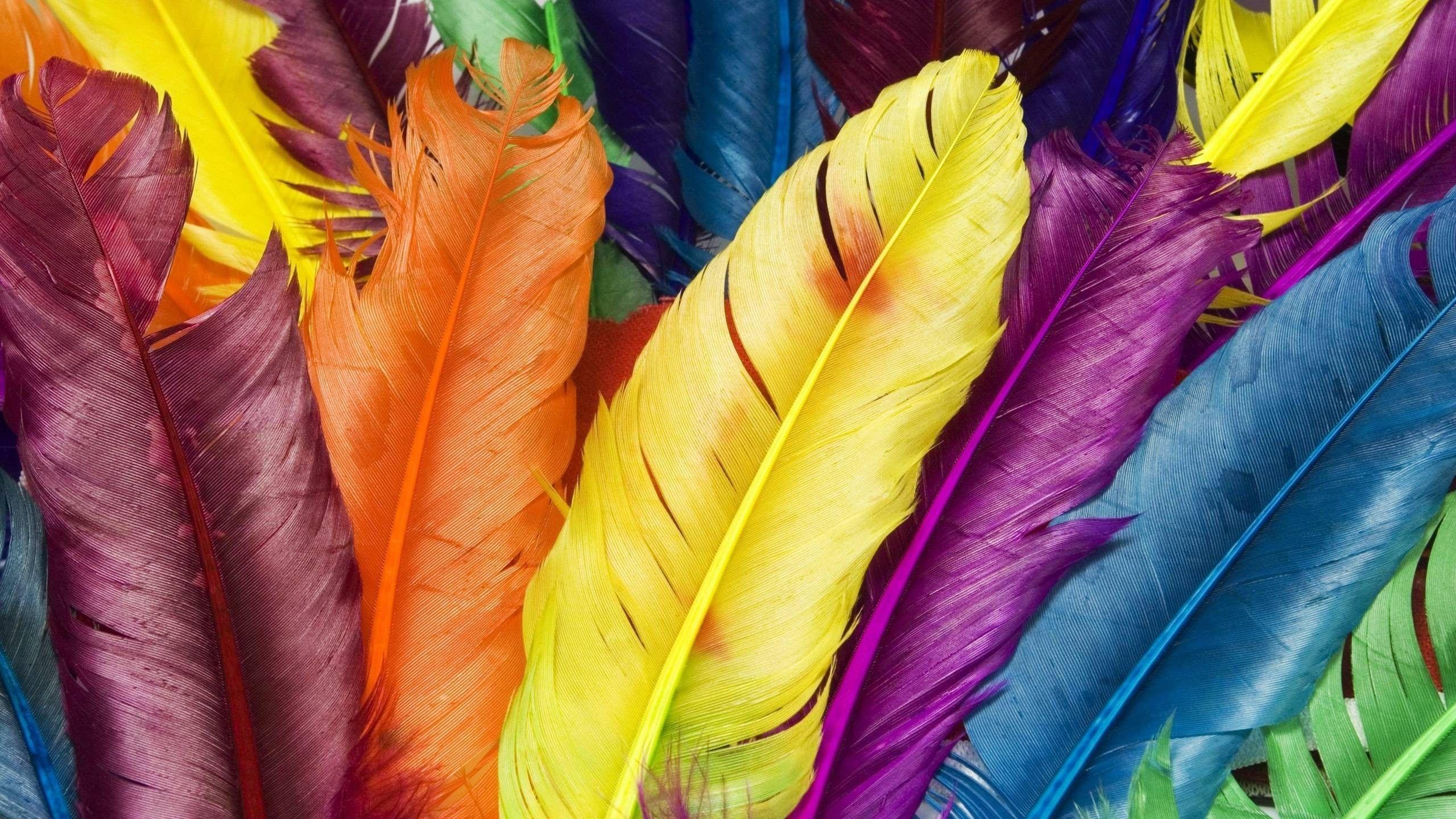 2560x1440 Colorful Wallpaper