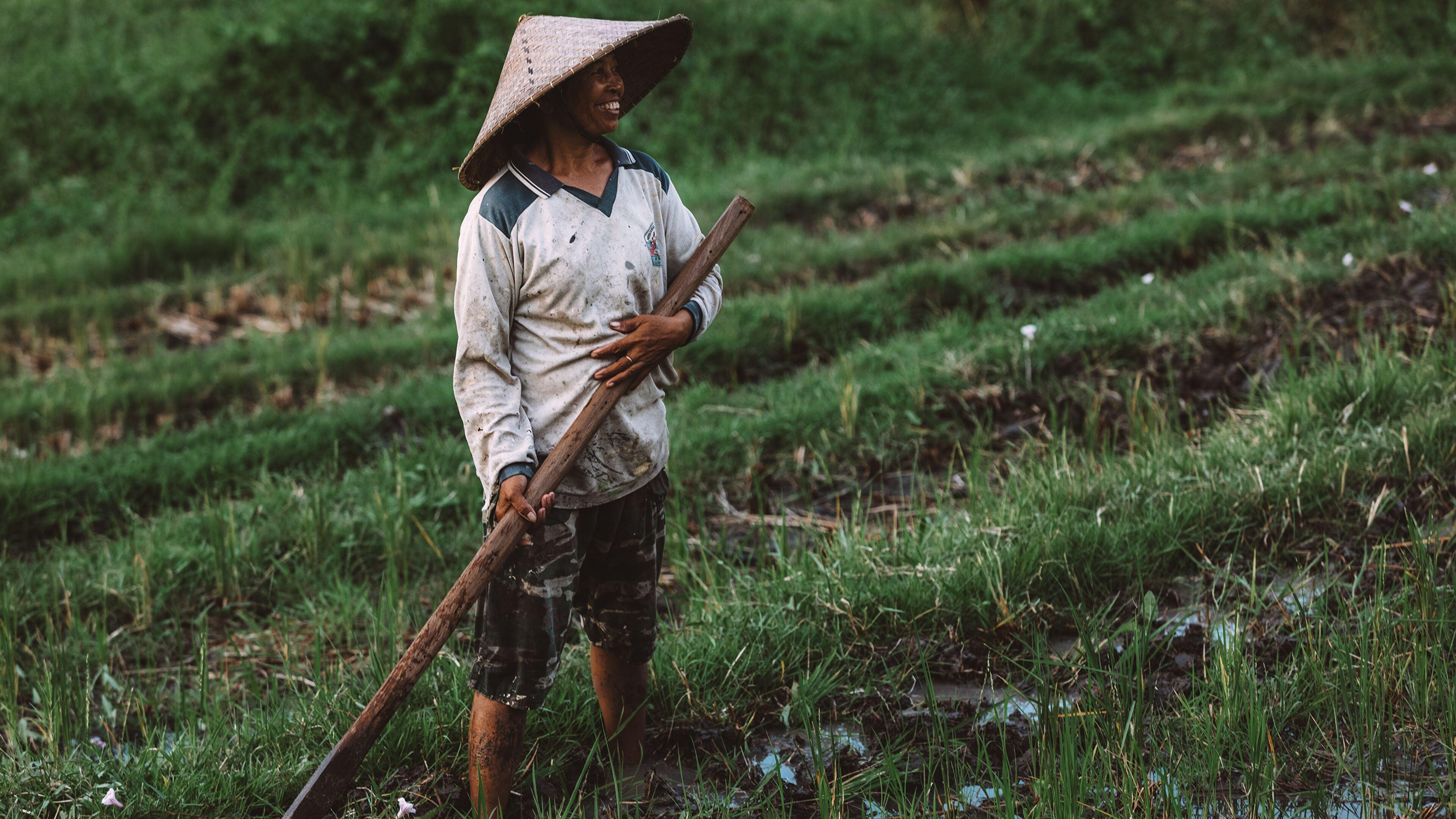3840x2160 Happy Farmer Tending to His Rice Field Bali Indonesia 4K