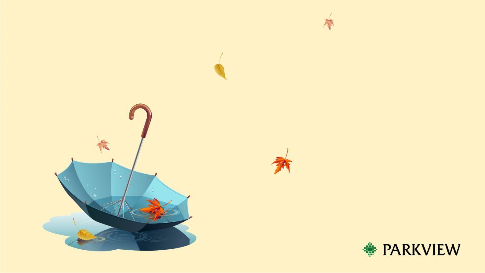 1600x900 Autumn whimsy wallpaper